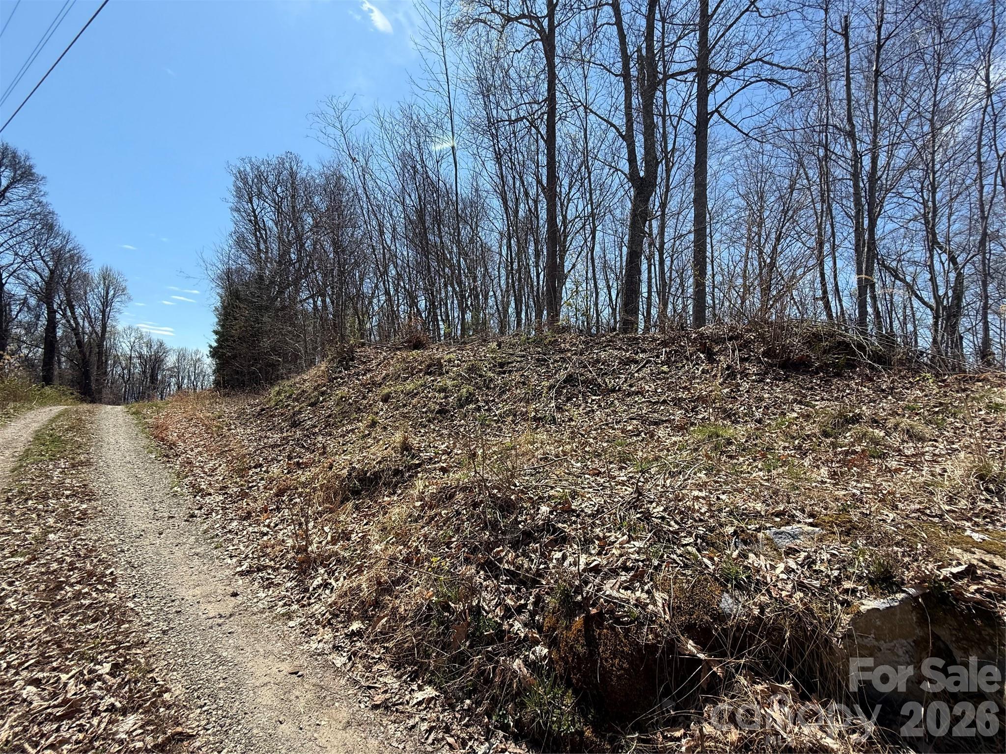Laurel Highlands - Land