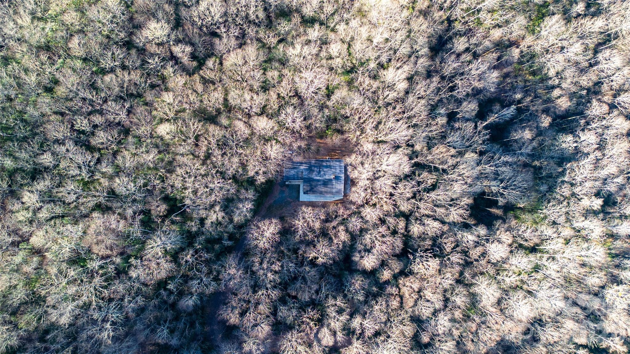 Forest Run - Residential