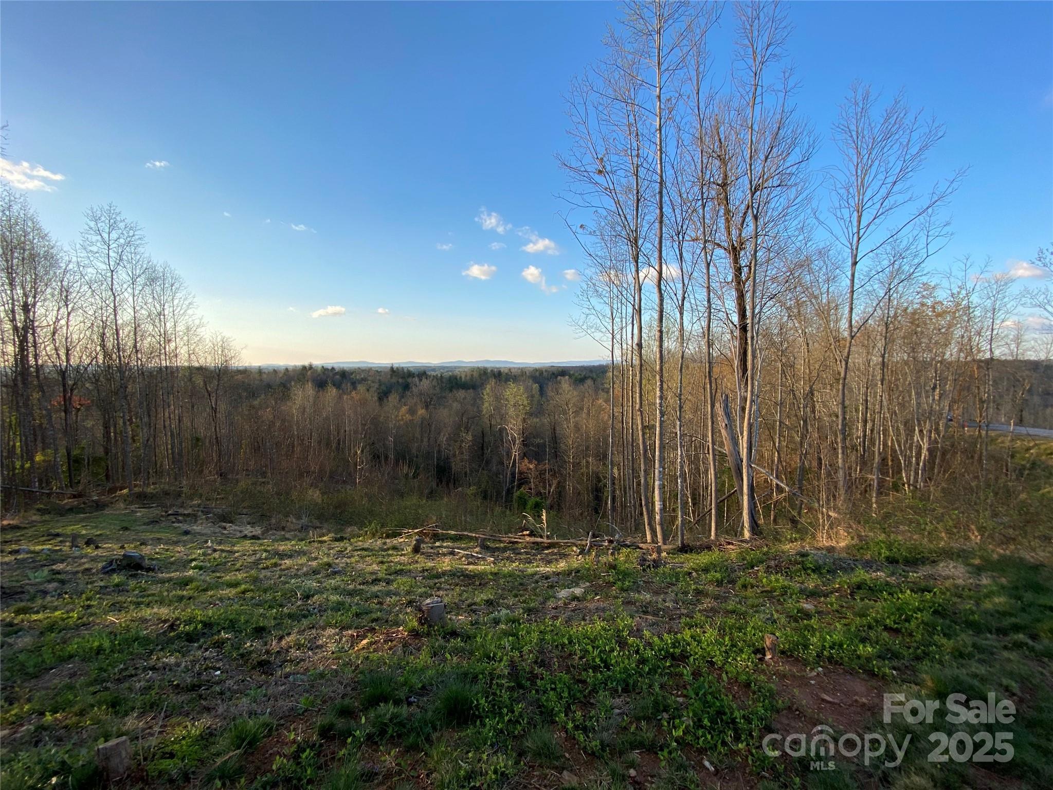 The Coves Mountain River Club - Land