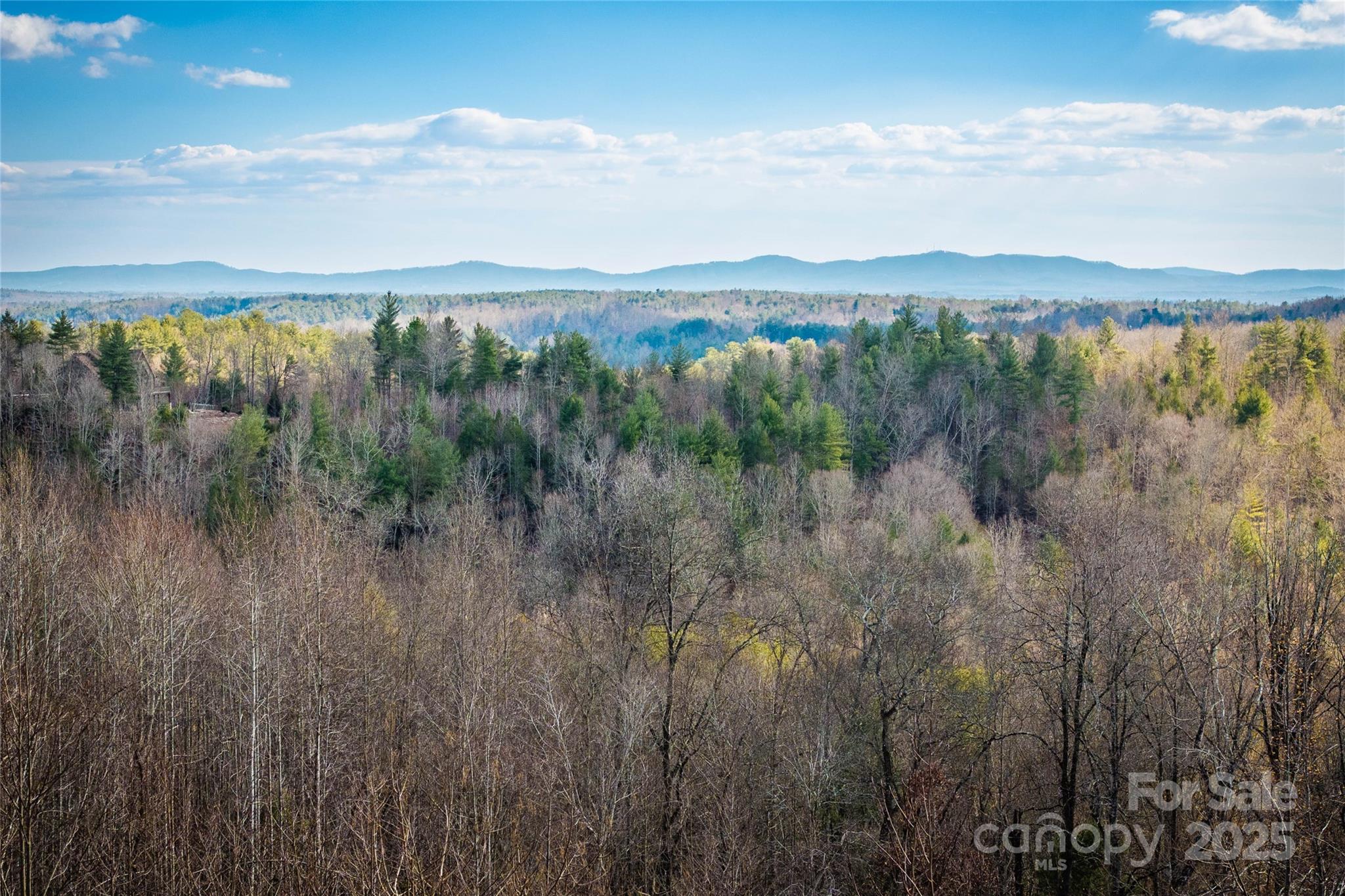 The Coves Mountain River Club - Land