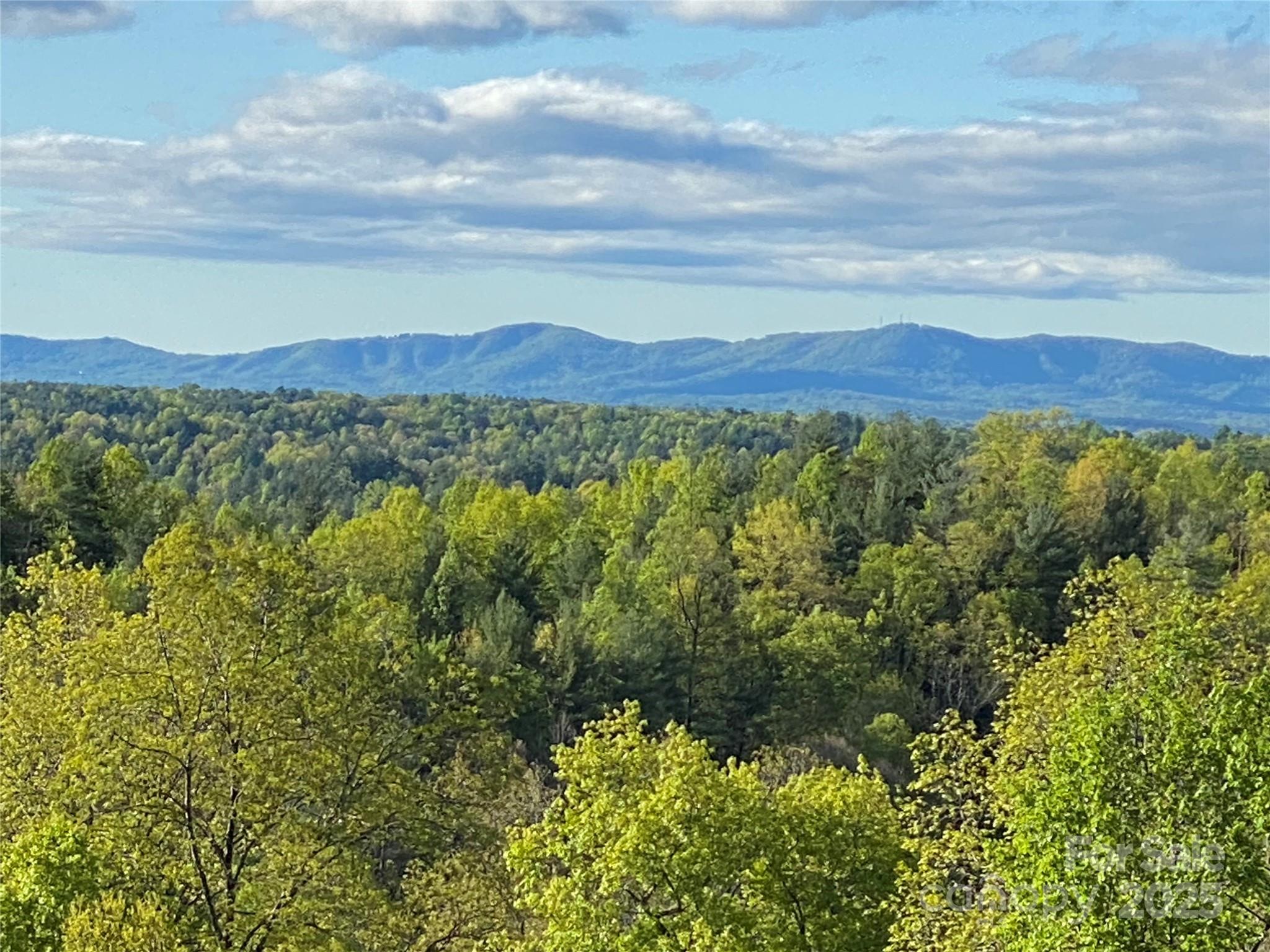 The Coves Mountain River Club - Land