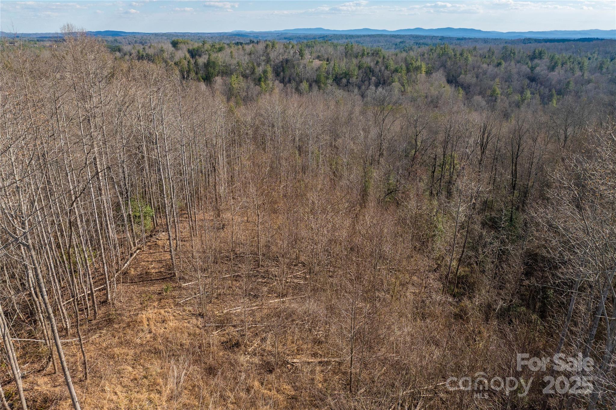 The Coves Mountain River Club - Land