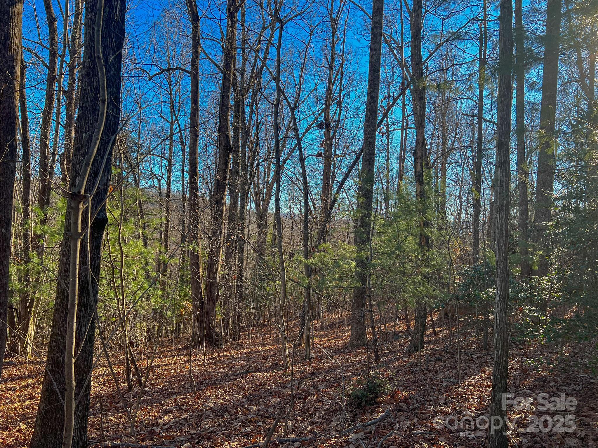 Gently sloping lot in the pristine community of Champion Hills! 0.69 acres with a spectacular winter view. Lot would be perfect for a main-level/lower level walkout. A romantic-cottage plan has been specifically designed for this lot and will be going through the Champion Hills architectural review committee. Enjoy a buildable homesite within a beautiful, private mountain and golf community while only being 10 minutes from Downtown Hendersonville, many grocery stores, breweries, and medical facilities. Come visit today!