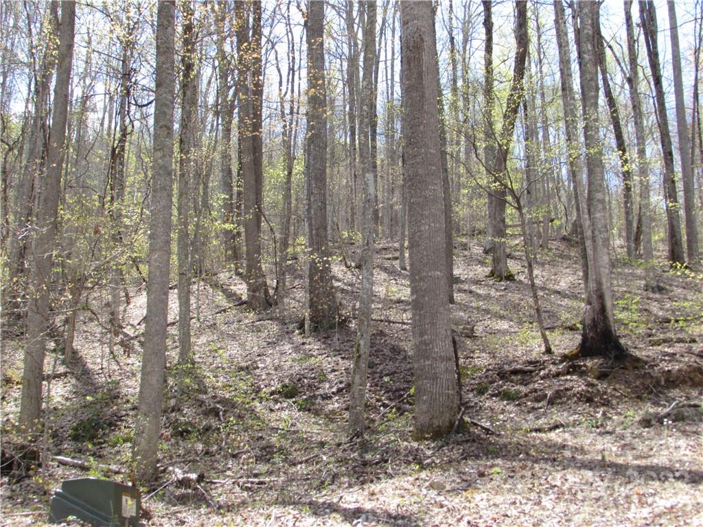 Red Wolf Run - Land