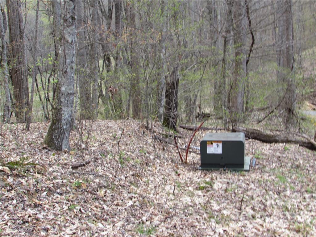 Red Wolf Run - Land