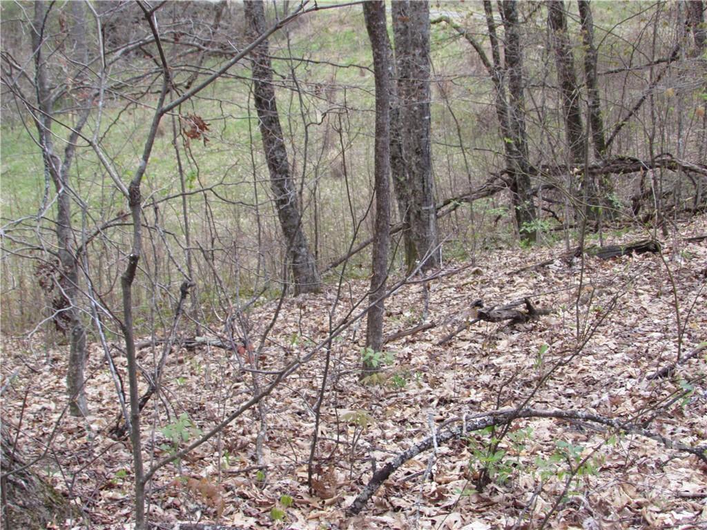 Red Wolf Run - Land