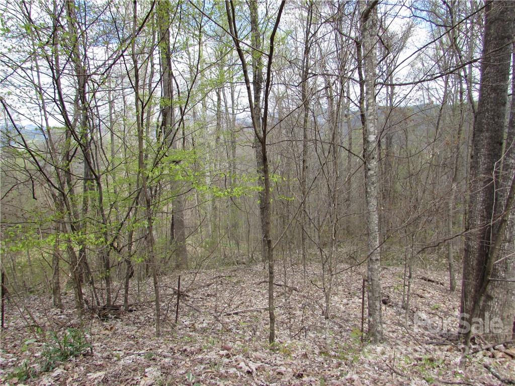Red Wolf Run - Land