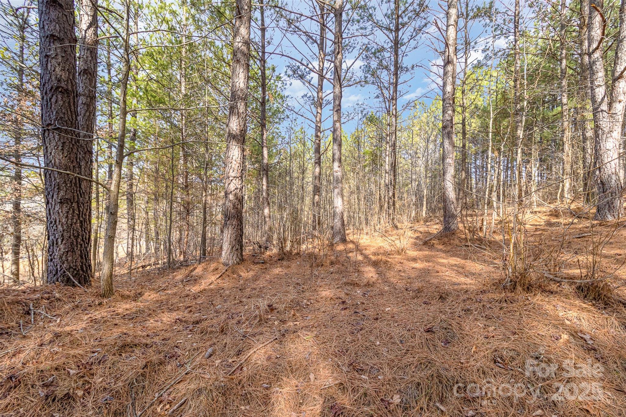 Broad River Highlands - Land