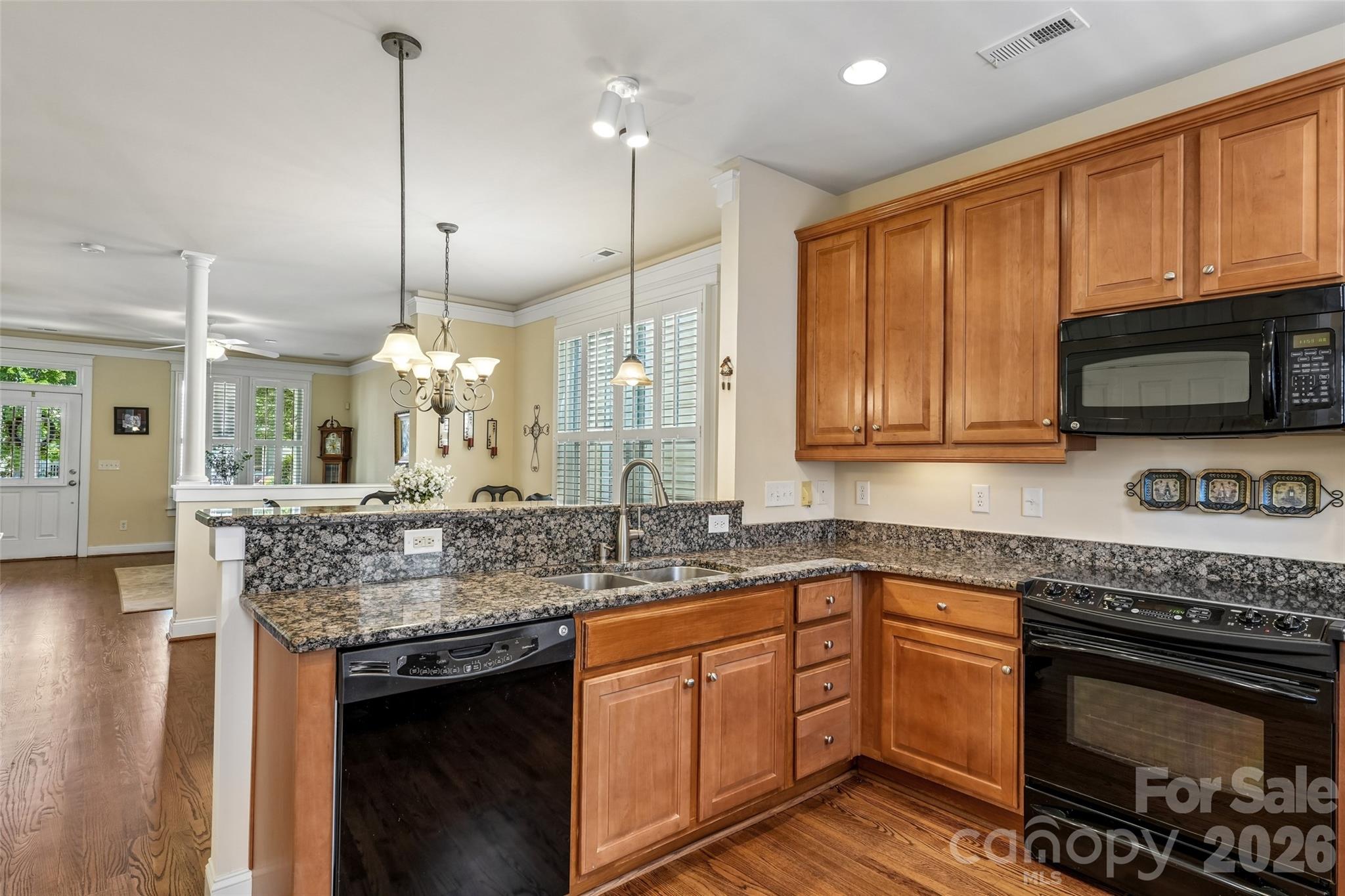 Davidson Pointe - Residential