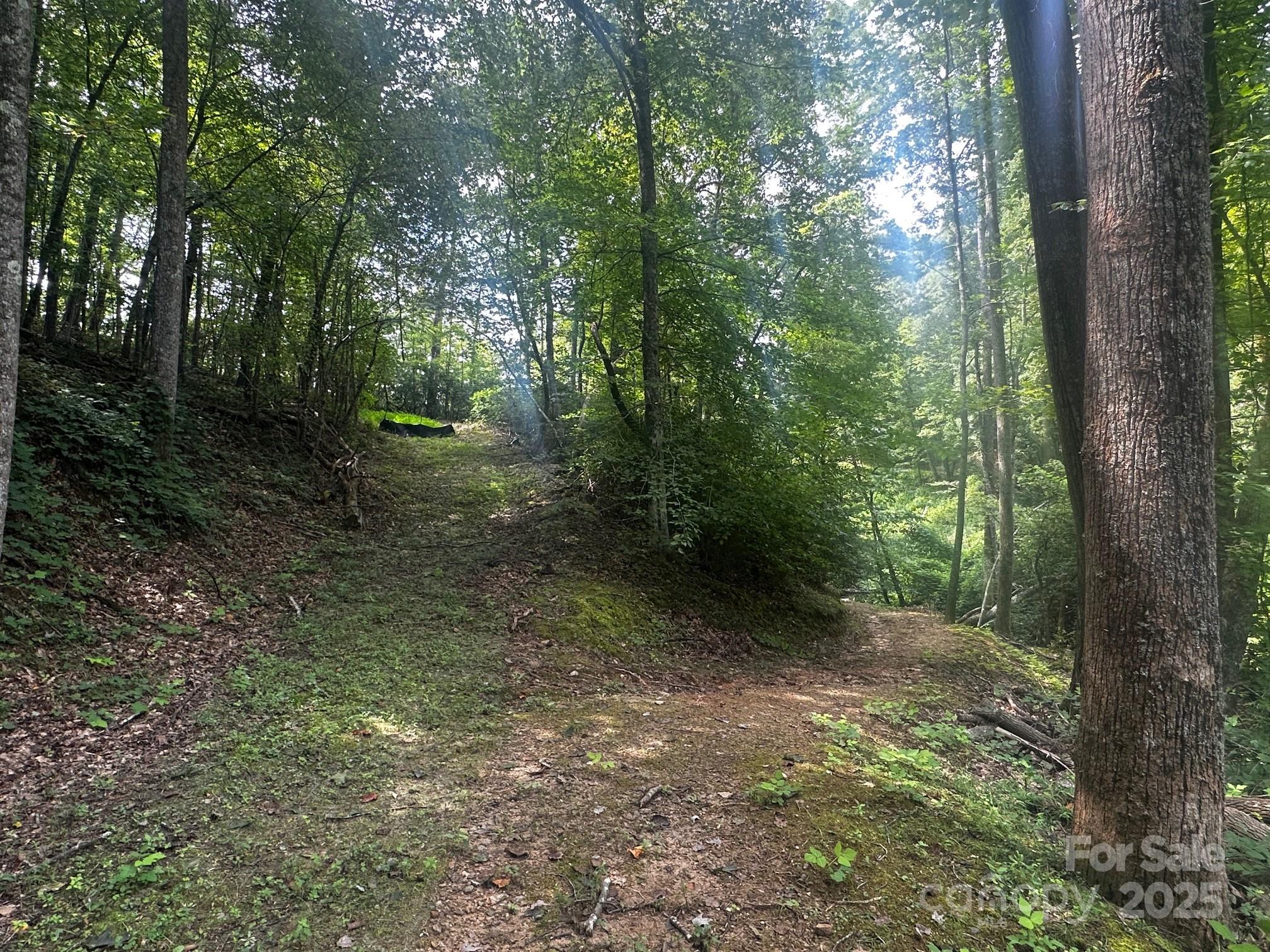 Vista At Bills Mountain - Land