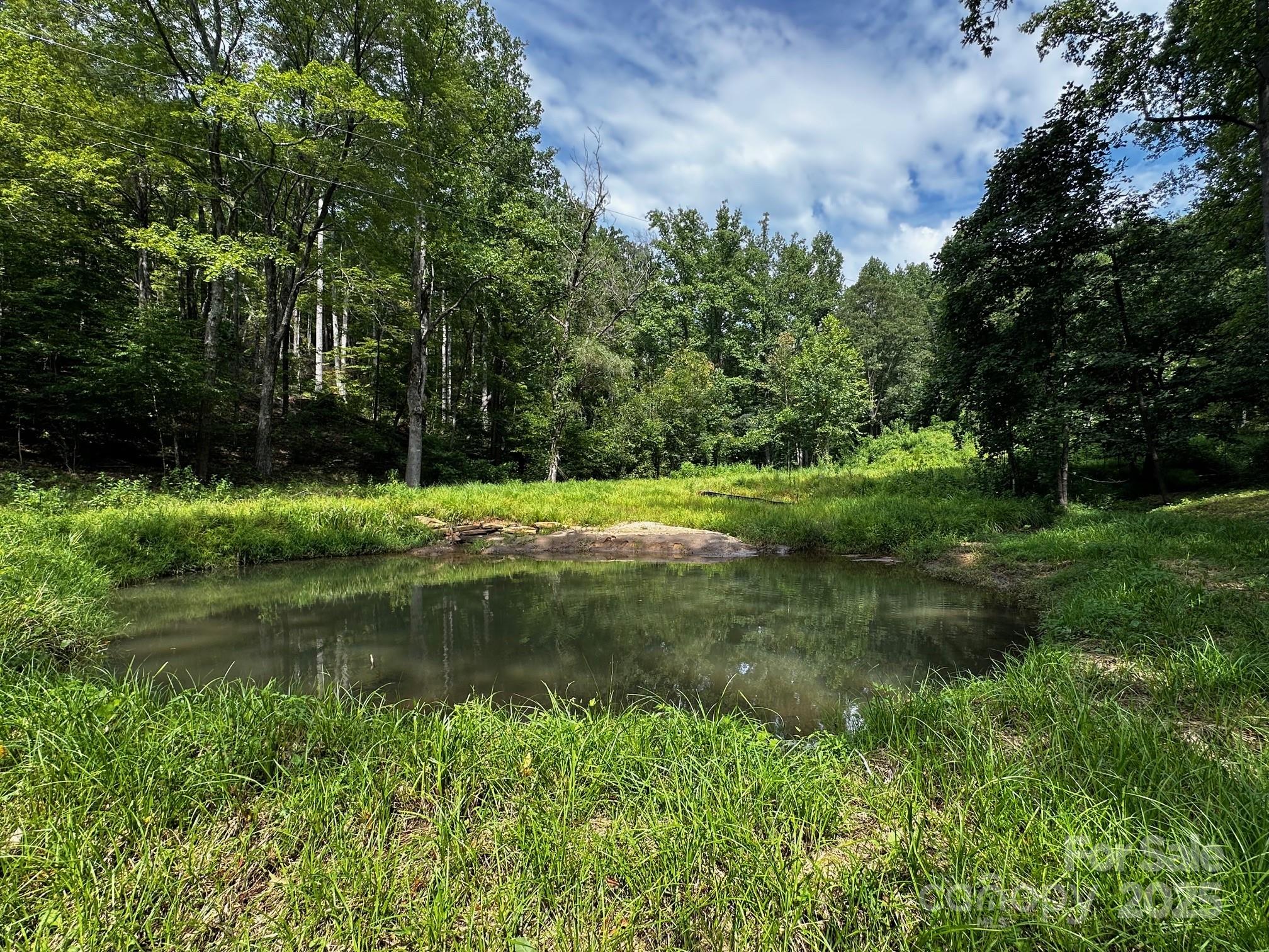 34 ACRES less than 2 miles from beautiful Lake Lure! This incredible tract features Mountain Views, Creeks, Waterfalls and numerous building sites right in the heart of Vista at Bill's Mountain, yet in the middle of nature. Vista at Bill's Mountain is an upscale gated community with club house, pool, and tennis courts. Property can only be divided into 3 tracts. This estate size tract is a rare find in Lake Lure at only $345,000.