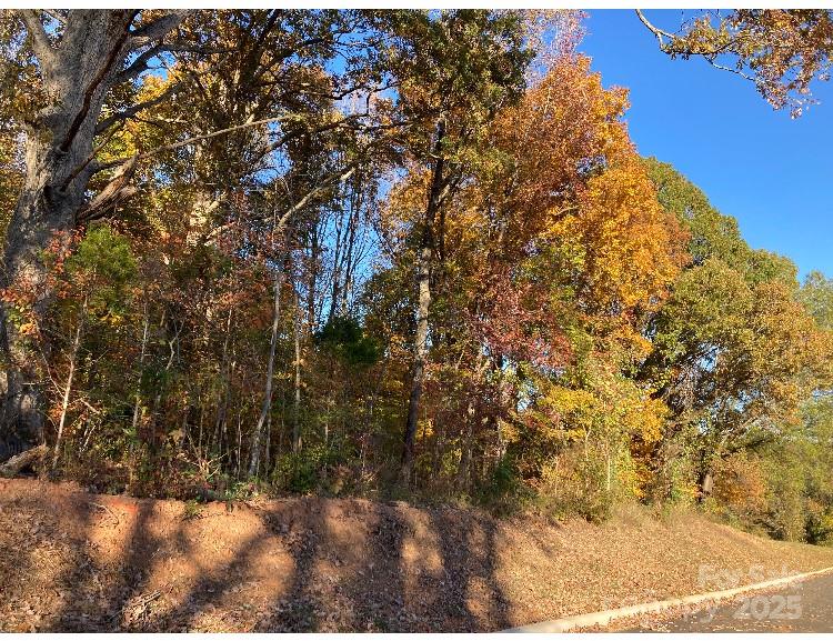 Price Cut! 1.6 Acres Wooded. Great location for development as it is located right by new industrial park. Conveniently located to i85 exit 79. Water / sewer not connected; tap fees required. This property is located in East Spencer city limits. Sewer line easement running through the middle of property. See attached driveway permit. 30' forced sewer line w/ 40' easement running through the middle of property. Contact city of East Spencer to see if you can build on lot. Contact City of Salisbury for sewer line map. catherine.mabe@salisburync.gov Senior Development Services Specialist Department of Land & Development Services. City of East Spencer to confirm driveway permit / road access and development. Brandon Emory City of East Spencer.