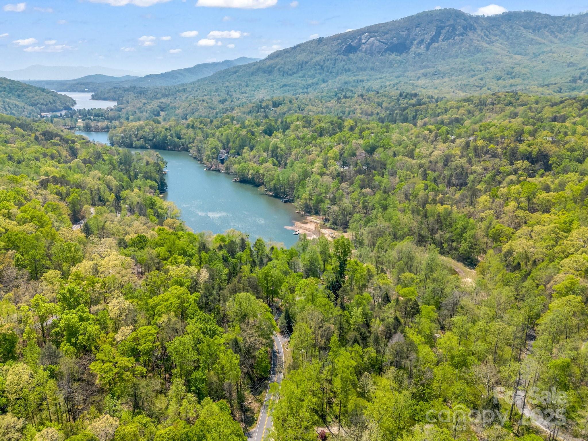 Rumbling Bald on Lake Lure - Residential
