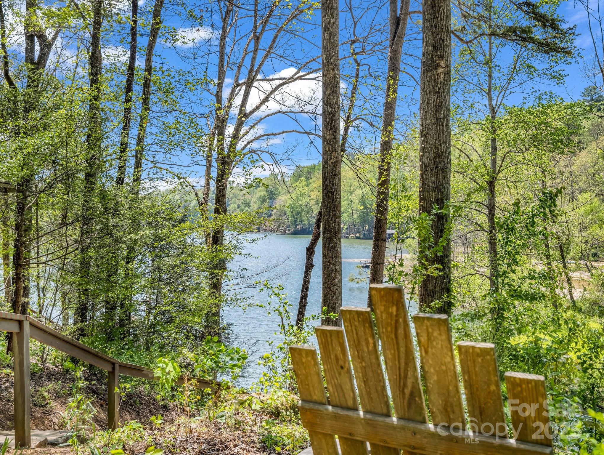 Rumbling Bald on Lake Lure - Residential