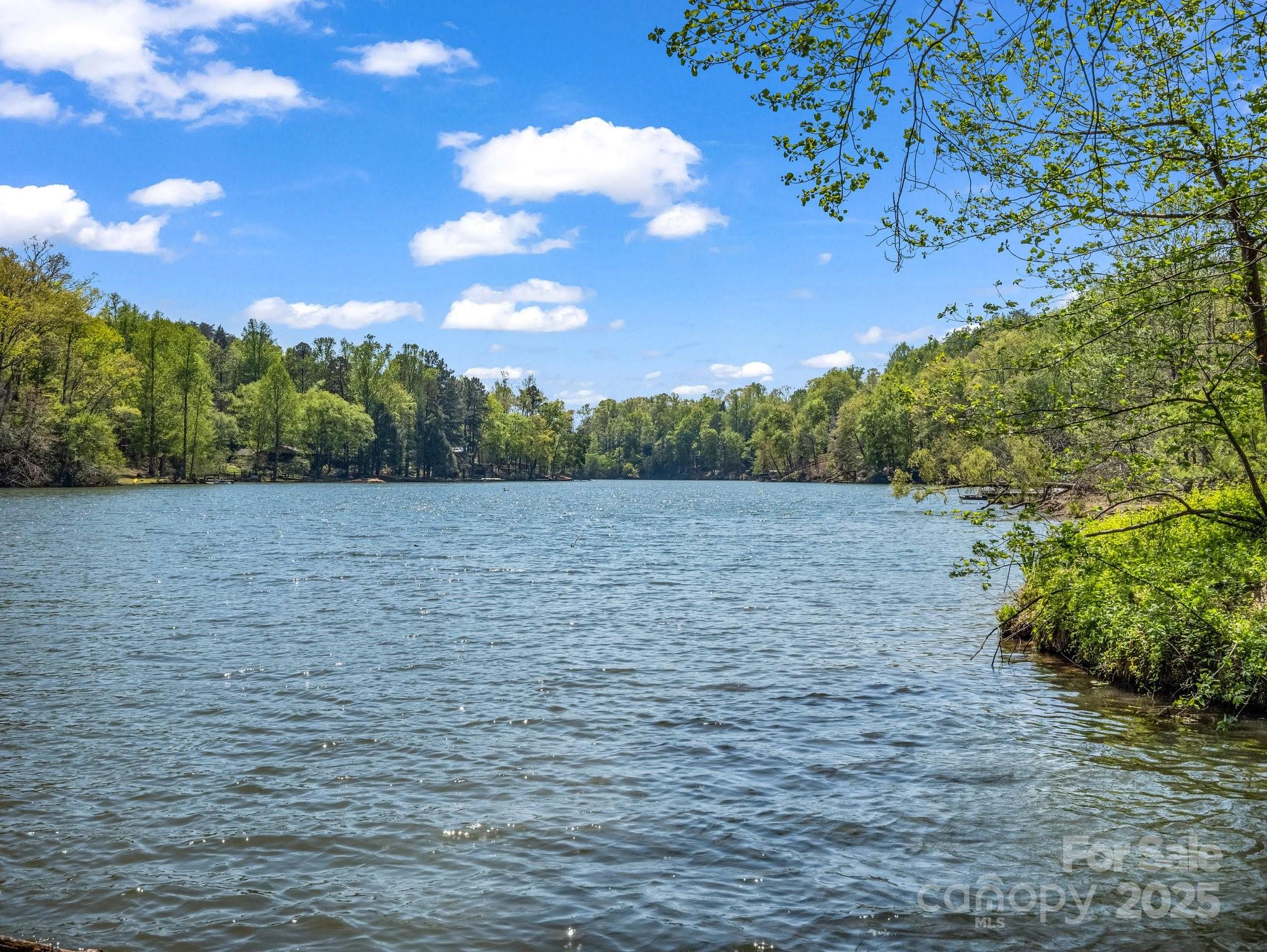 Rumbling Bald on Lake Lure - Residential