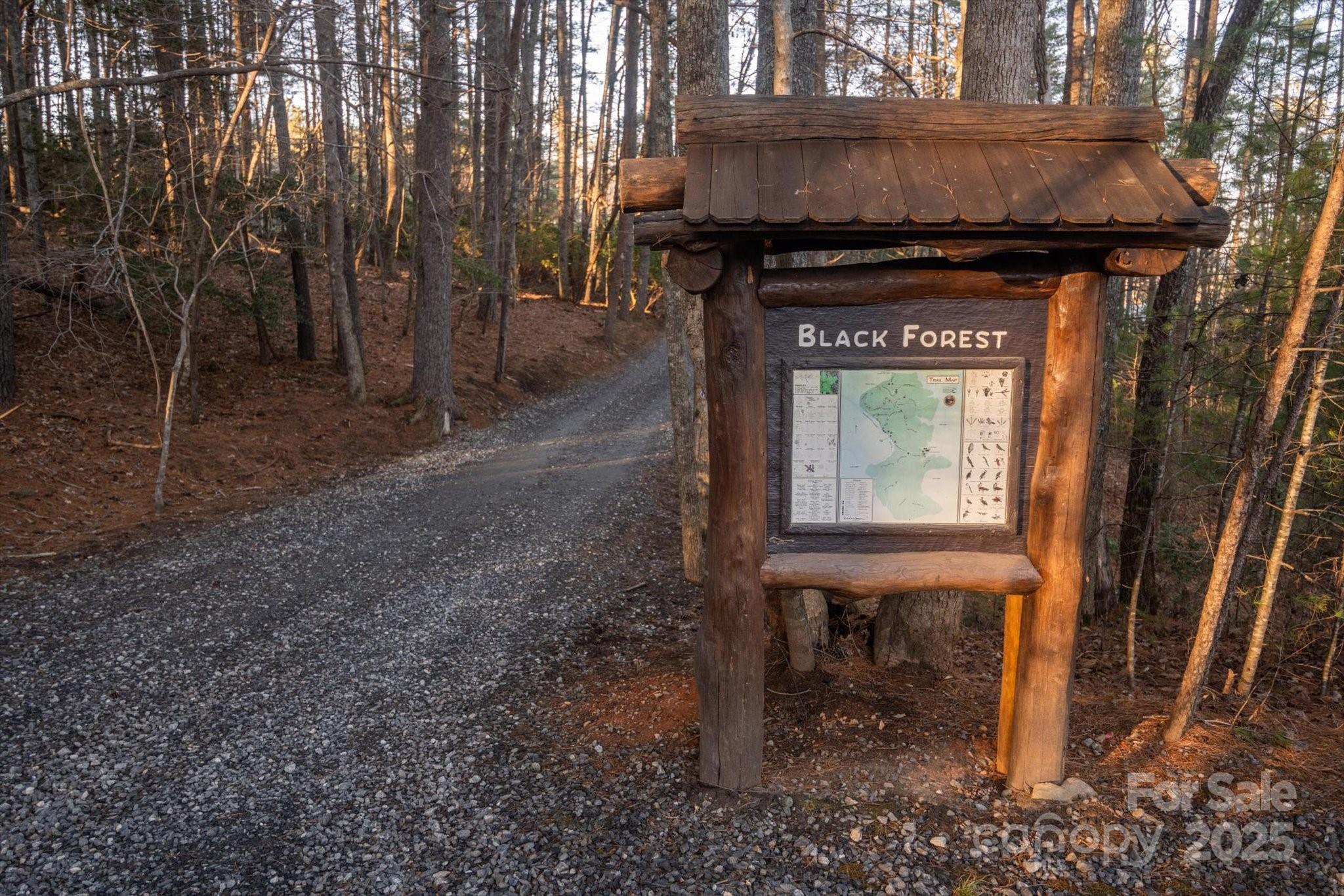 Black Forest - Land