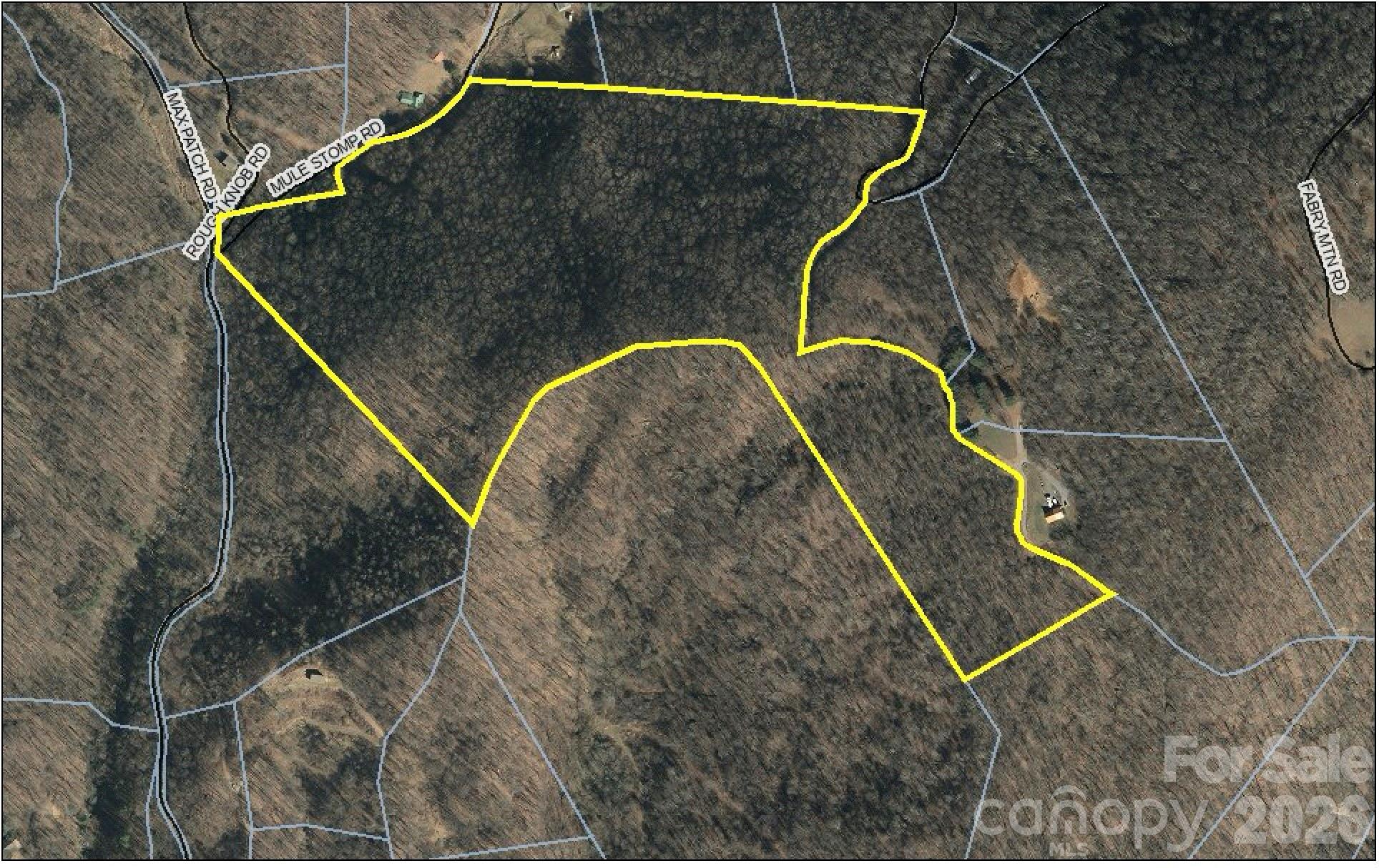 Welcome to the Mountains. This 41 acre parcel has several good building sites which would offer panoramic mountain views. The property contains mature trees and was last harvested 50 years ago. Most of the property is adjacent to roadway which is in exceptional condition. Electric runs along the road and through the acreage allowing owner to select from many locations for building sites. The property has a natural spring according to owner, location unknown. Family owned for many years dont miss out on an opportunity to own this wonderful piece of unrestricted mountain property. Priced at only $9146,00 per acre.