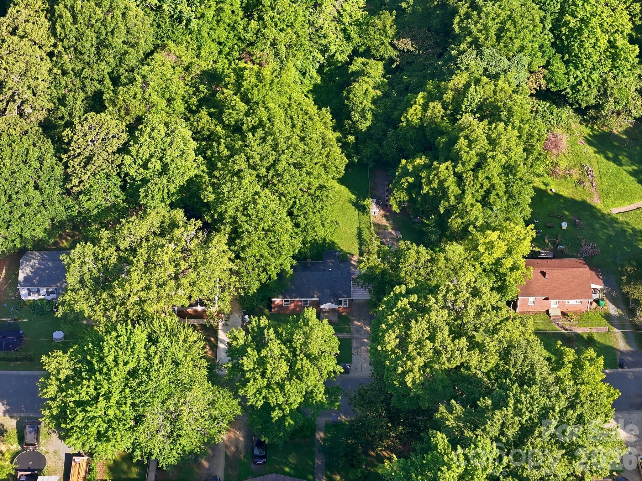 Druid Hills - Residential