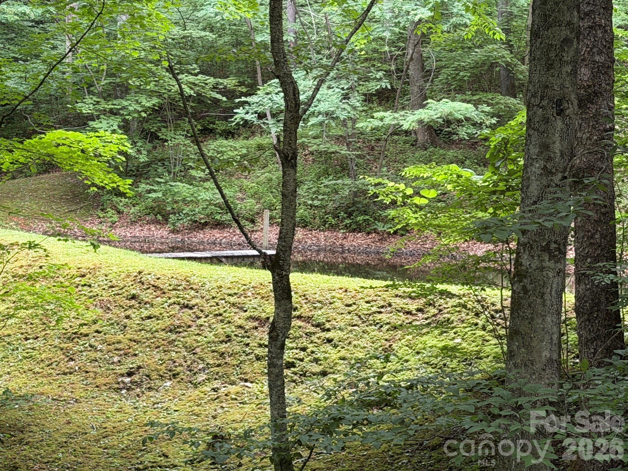 Smoky Mountain Retreat at Eagles Nest - Land