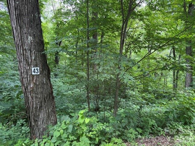 Is there a buildable mountain lot in the Maggie Valley/Waynesville area with gated access, paved roads, underground utilities, and access to year-round recreation? This lot in Smoky Mountain Retreat at Eagles Nest offers a rare opportunity to create a full-time residence, vacation retreat, or investment-minded mountain home in one of the area’s established gated communities. The property is located within the highly sought-after Smoky Mountain Retreat at Eagles Nest, a 1,000-acre gated log home community known for its natural beauty, abundant wildlife, paved roads, and elevated mountain setting that feels tucked inside a national park.

Discover the opportunity to build in Smoky Mountain Retreat at Eagles Nest, a sought-after gated mountain community in Maggie Valley, North Carolina, known for its natural beauty, well-maintained paved roads, underground utilities, and impressive elevations above 4,000 feet. Surrounded by the peaceful scenery of the Smoky Mountains, this community delivers the quiet retreat feel buyers want while keeping everyday conveniences and regional attractions within easy reach.

Located in the mountains of Maggie Valley, this homesite offers convenient access to Waynesville, Cherokee, Asheville, the Blue Ridge Parkway, Great Smoky Mountains National Park, Cataloochee Ski Area, local dining, shopping, hiking, fishing, and four-season mountain recreation. Community amenities include hiking trails and a playground, creating a setting that blends mountain privacy, outdoor enjoyment, and practical convenience.

This particular lot offers a very buildable lot with a creek, giving future owners the flexibility to plan a mountain property that fits their lifestyle and goals. Whether you are dreaming of a private primary residence, a weekend getaway near outdoor adventure, or a mountain home with long-term investment potential, this Maggie Valley mountain lot provides a chance to secure your place in one of Western North Carolina’s desirable high-elevation communities.

For buyers searching for land in the Maggie Valley/Waynesville area. This unique community offers two gates one closer to Maggie Valley the other closer to Waynesville. If your looking for Smoky Mountain community, or a homesite near Waynesville and the Blue Ridge Parkway, this property offers location, setting, and mountain lifestyle potential in one compelling opportunity.
