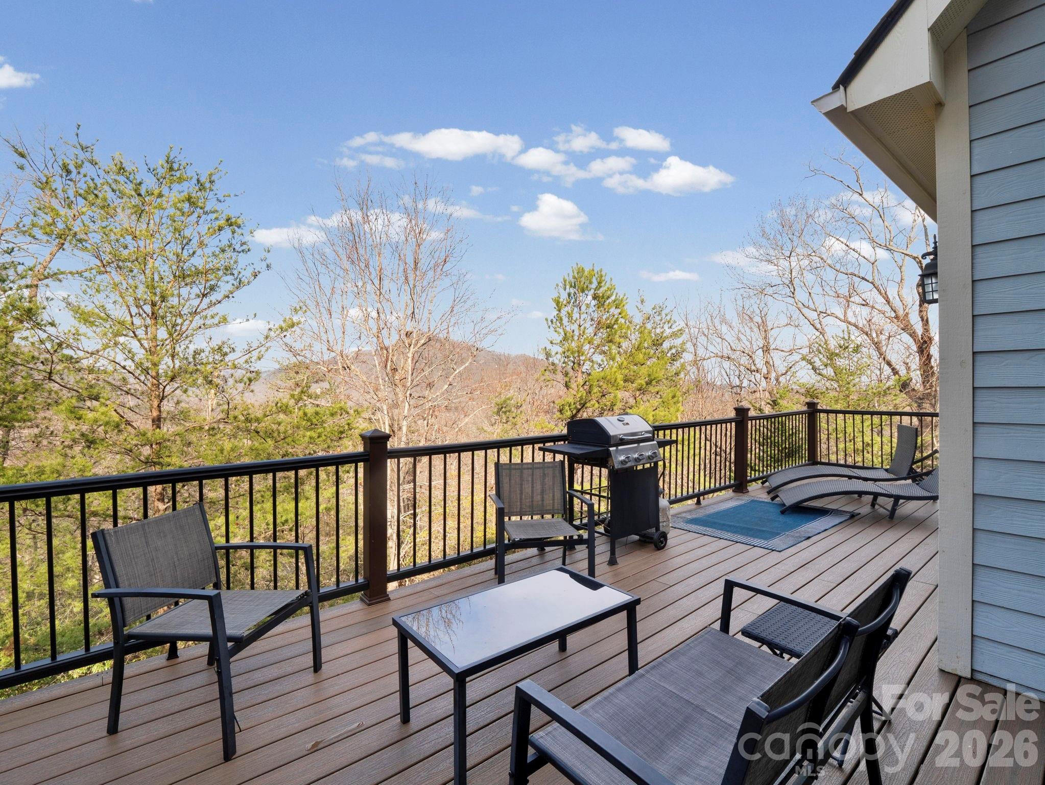 Rumbling Bald on Lake Lure - Residential