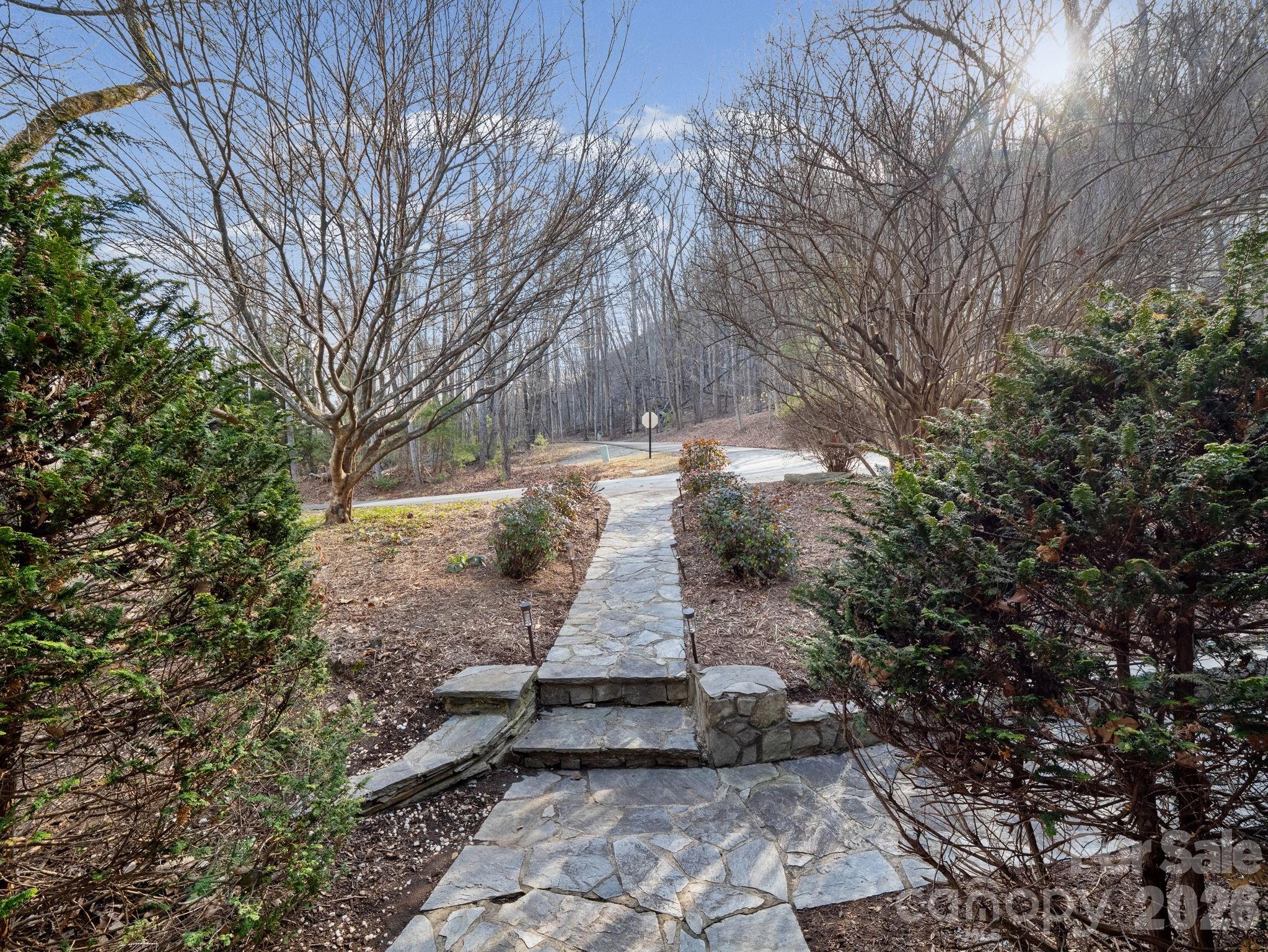 Rumbling Bald on Lake Lure - Residential