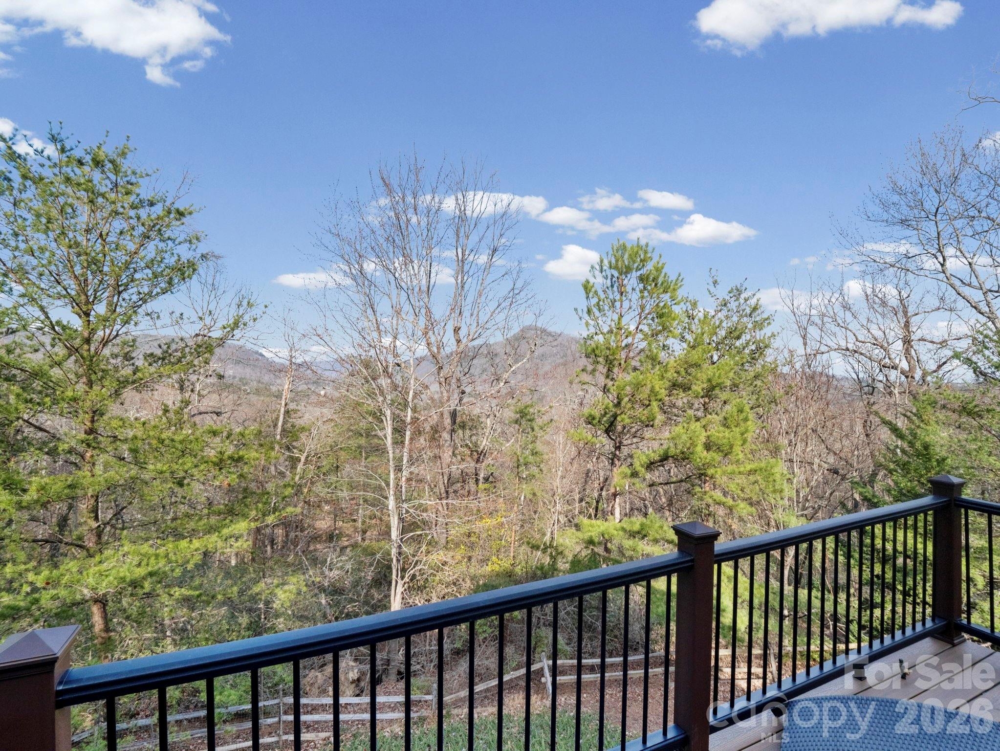 Rumbling Bald on Lake Lure - Residential