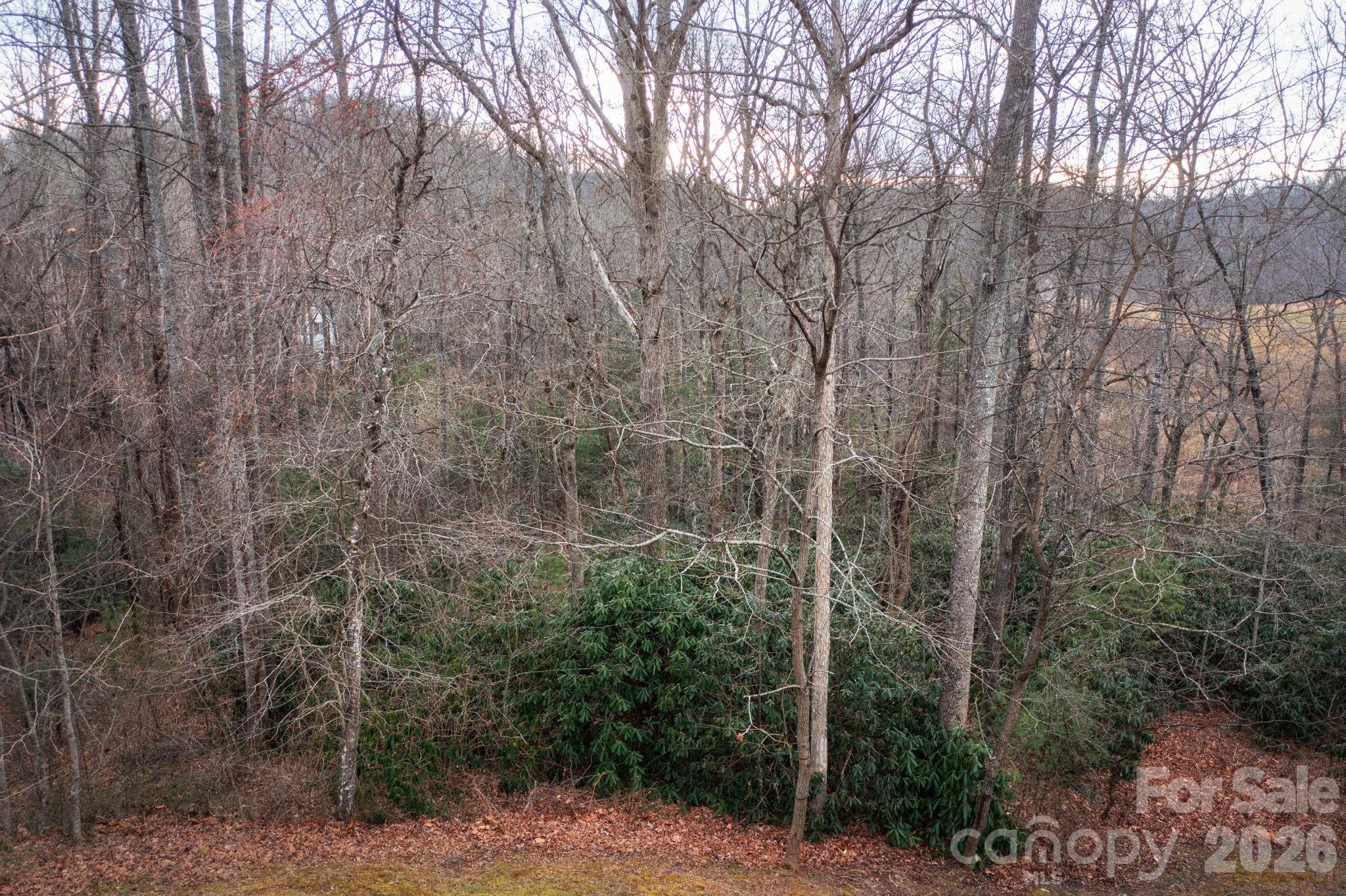 Hillshire Woods - Land