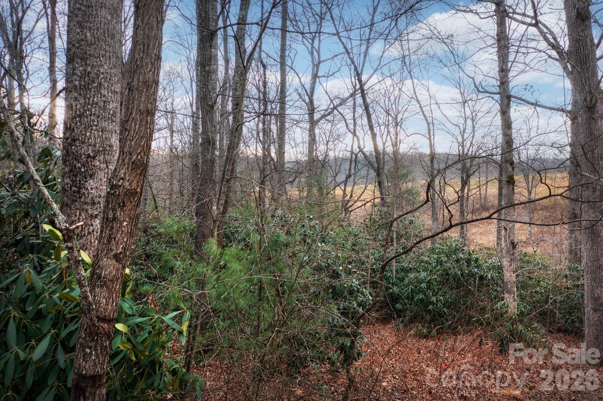 Hillshire Woods - Land