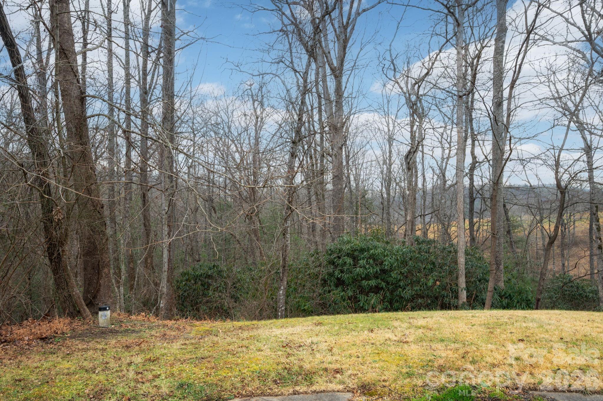 Tucked away at the end of a cul-de-sac in the small Hillshire Woods subdivision, this 0.70-acre lot offers a peaceful place to build your dream home overlooking a beautiful neighboring farm. Enjoy the charm of country living with the convenience of being approx. four miles from the US-74A corridor, providing easy access to restaurants, groceries, schools, and Blue Ridge Parkway hiking trails, and only 20 minutes to downtown Asheville. A well is already installed, septic needed. Low HOA dues of $250/year cover maintenance of the privately maintained paved road. Located in the AC Reynolds school district, this is a wonderful opportunity at a great price to create your ideal primary residence or mountain getaway in a serene Fairview setting.