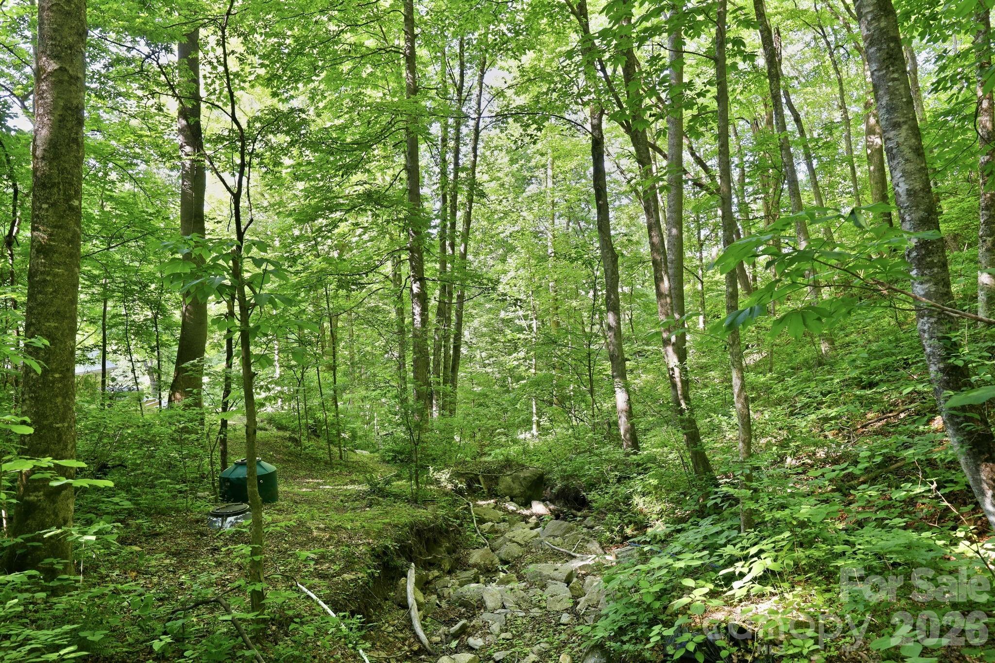 Crystal Falls - Residential