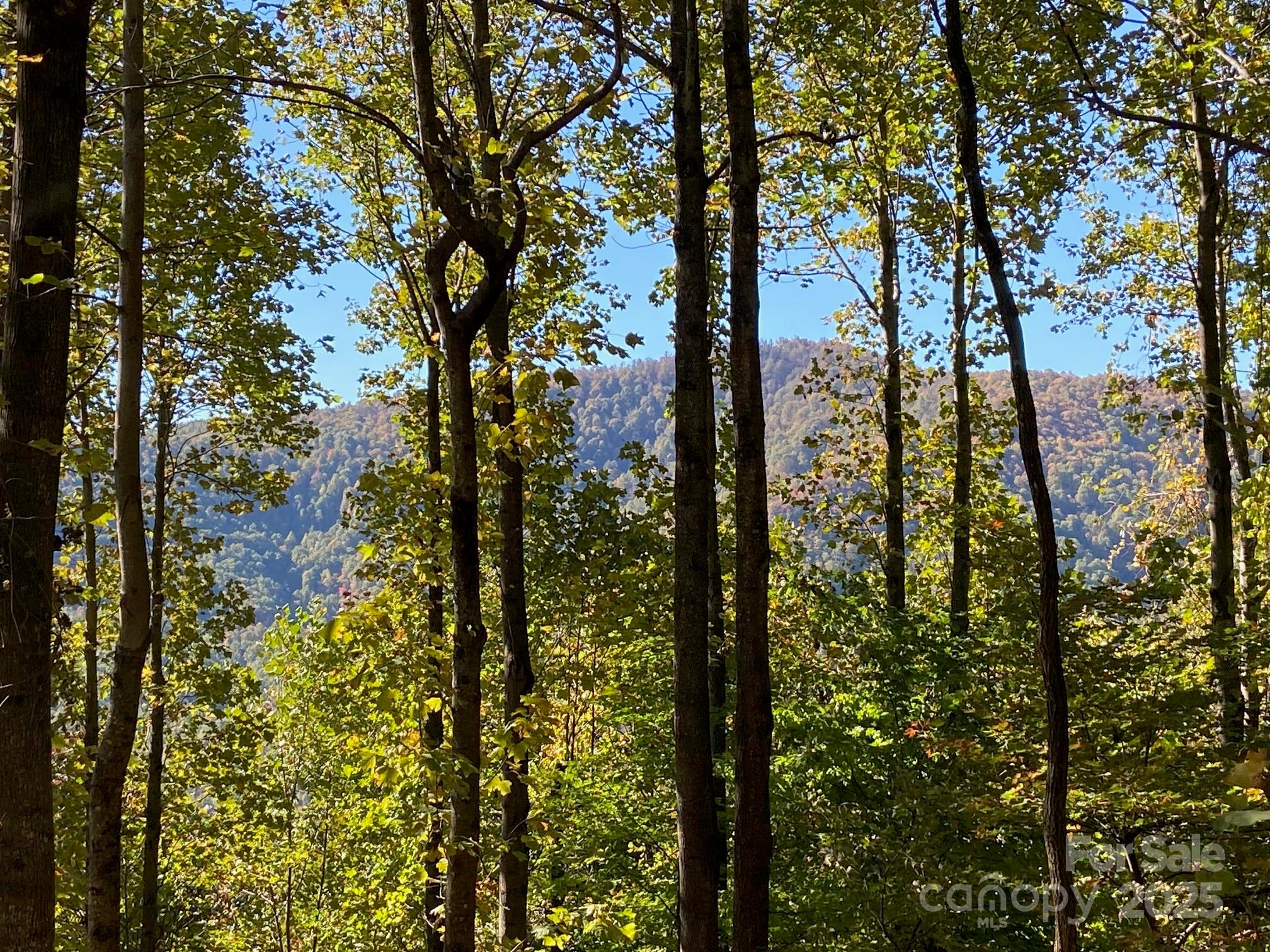 MOTIVATED SELLER - BRING AN OFFER! Beautiful lot in gated Creston, just minutes from downtown Black Mountain! This cul-de-sac lot offers incredible privacy and year-round mountain views under $100k, a great price for a view lot! With a driveway already cut in and a well installed, you'll save thousands on your new home build! It's very easy to walk the lot and see the homesite. Creston is a premier mountain neighborhood, featuring well-maintained paved roads, miles of hiking trails, a beautiful clubhouse, underground utilities (including Spectrum high-speed internet), upscale custom homes, and an active community of neighbors. The land surrounding Creston is in Foothills Land Conservancy and Pisgah National Forest, creating an incredible natural environment. Priced to sell NOW - appraised for $140k in July 2022. A local award-winning architect has provided a site consultation (report available from agent). A home built on this lot can be a short-term rental (7 night minimum). 3-bedroom septic permit on file (expired).
