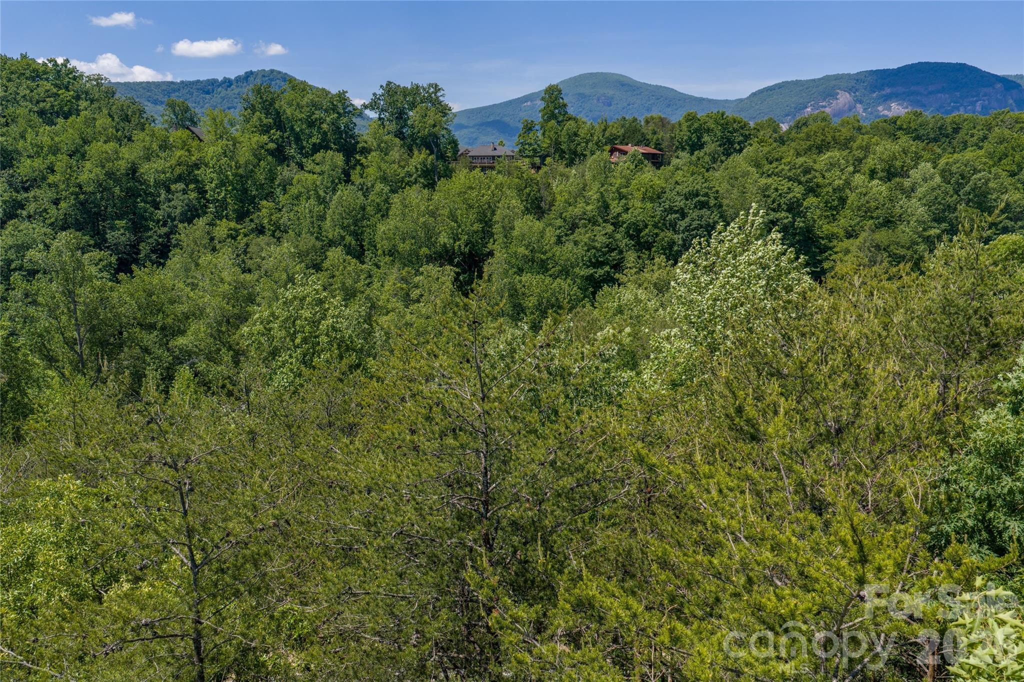 Lake Lure Village Resort - Land