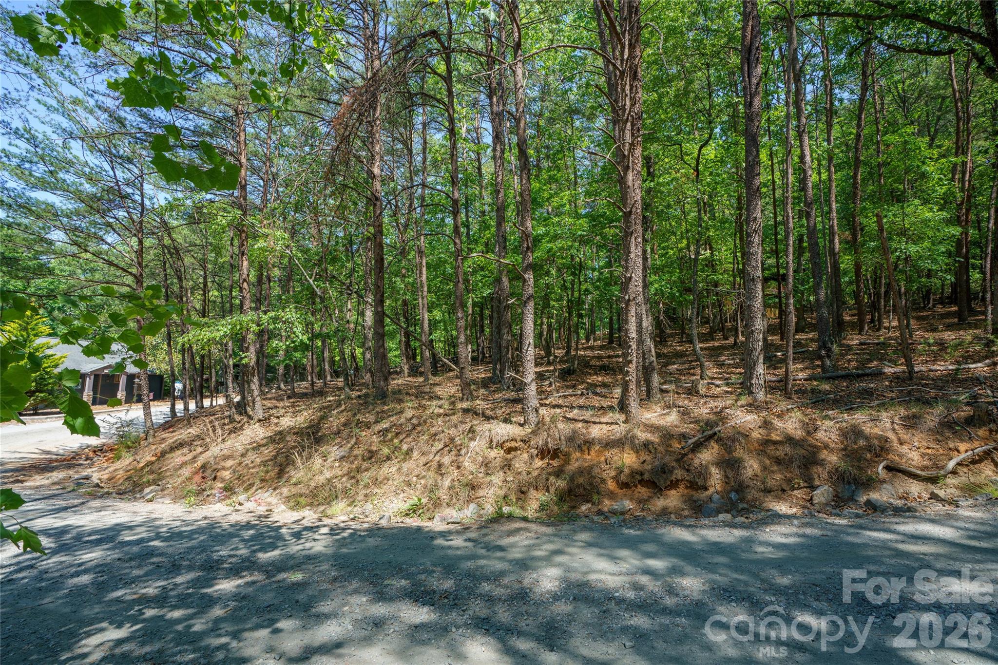 Lake Lure Village Resort - Land