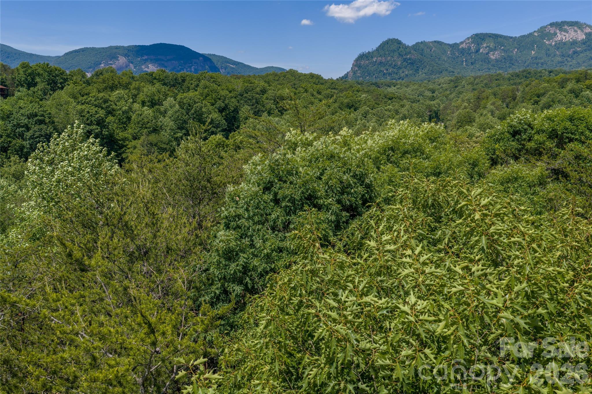 Lake Lure Village Resort - Land