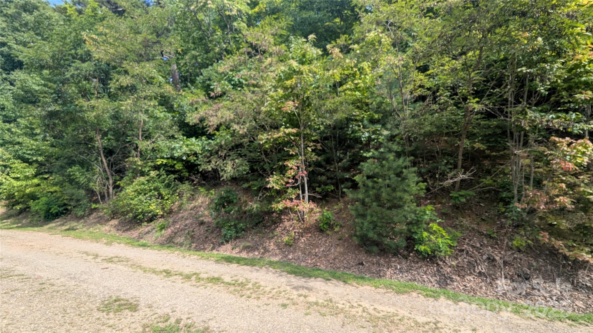 Pine Wood Heights - Land