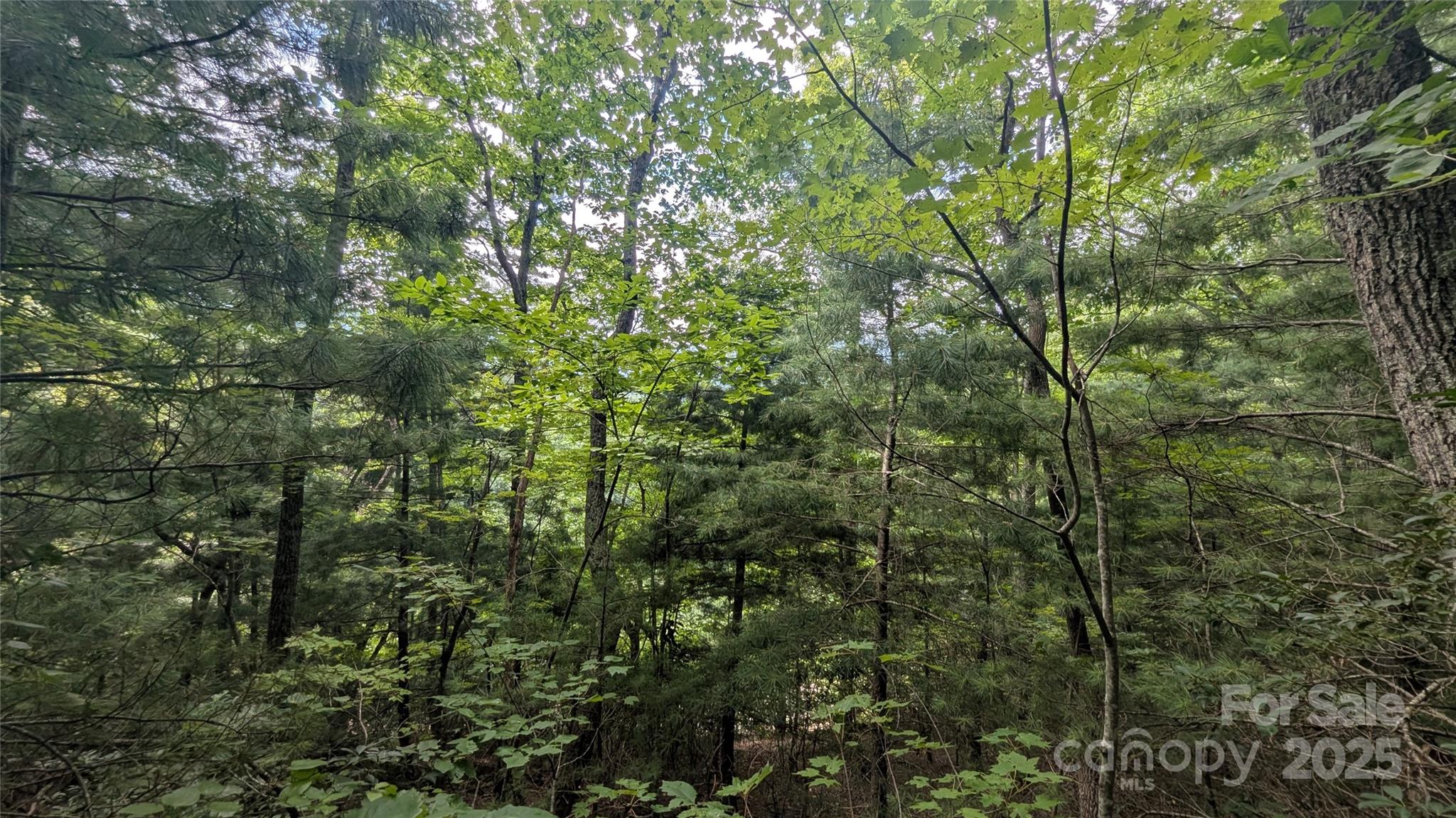 Build your dream home just minutes from downtown Waynesville on this 0.363 acre lot with winter views! Enjoy the convenience of easy access while being only a short drive to shopping, dining, and all the charm Waynesville has to offer. This lot has city water available and a potential homesite that should make construction simple and cost-effective, offering an ideal opportunity for a primary residence, second home, or investment property. Rarely do lots with this combination of location, utilities, and accessibility come on the market this close to town.