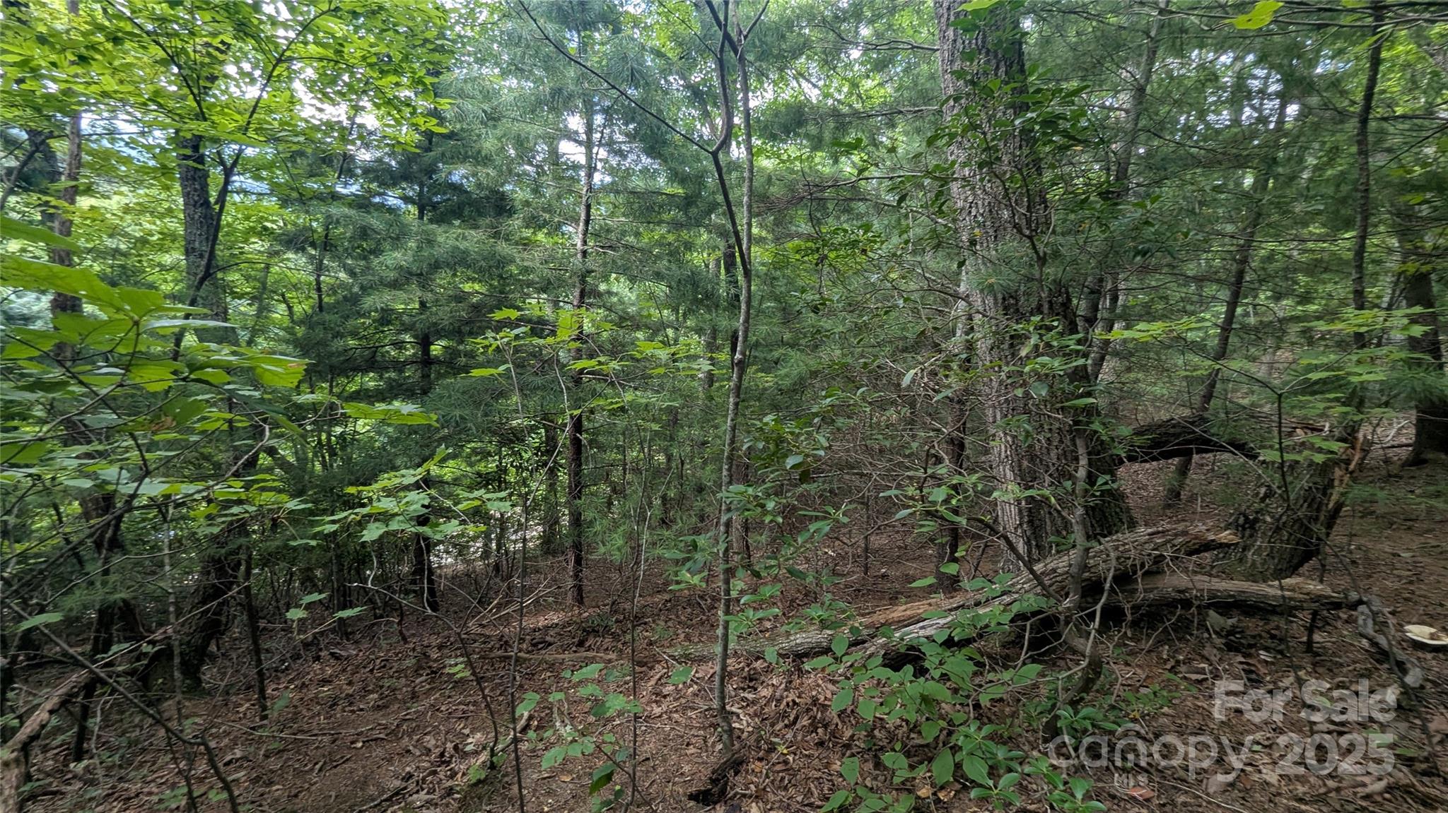 Pine Wood Heights - Land