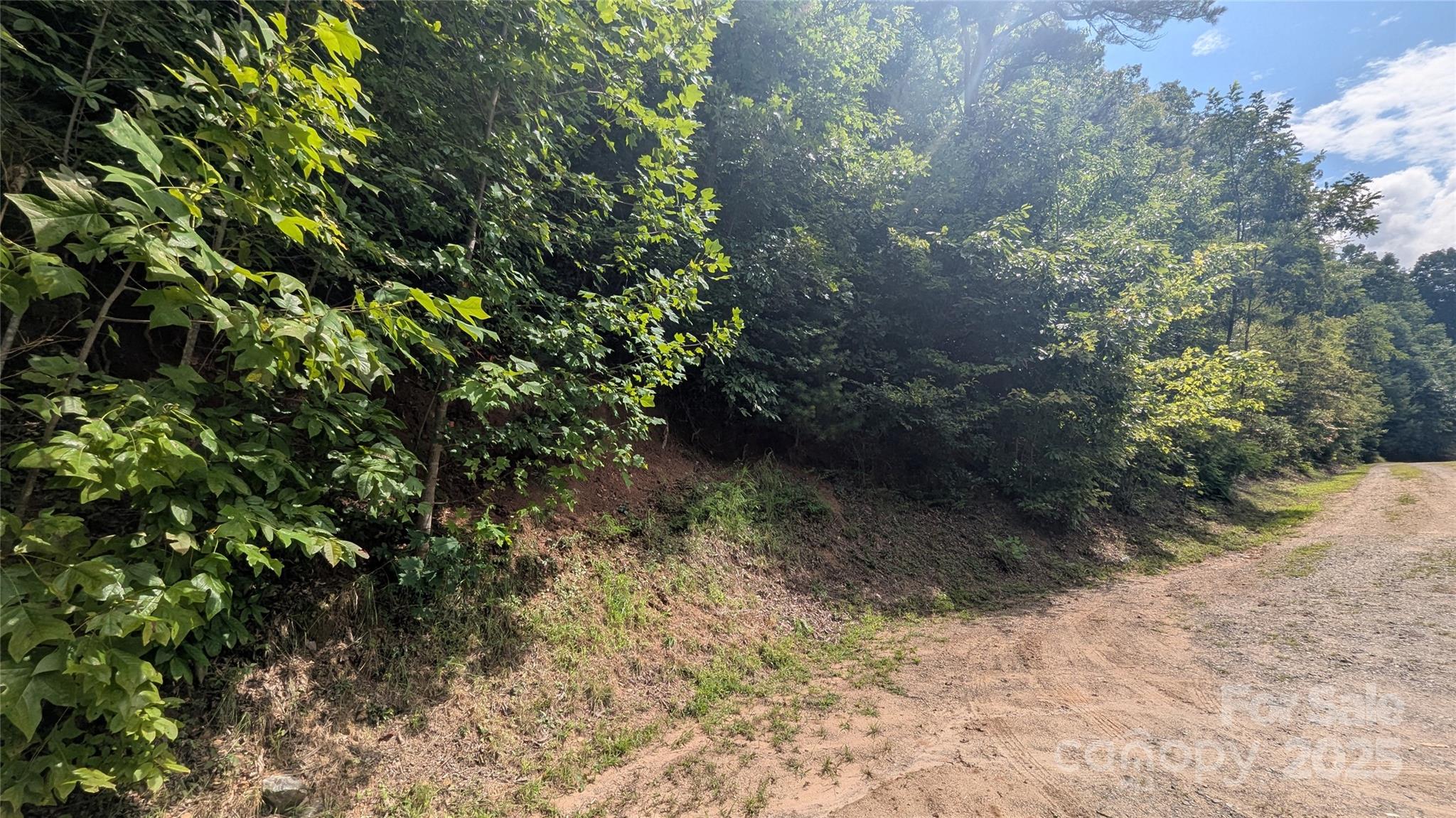 Pine Wood Heights - Land