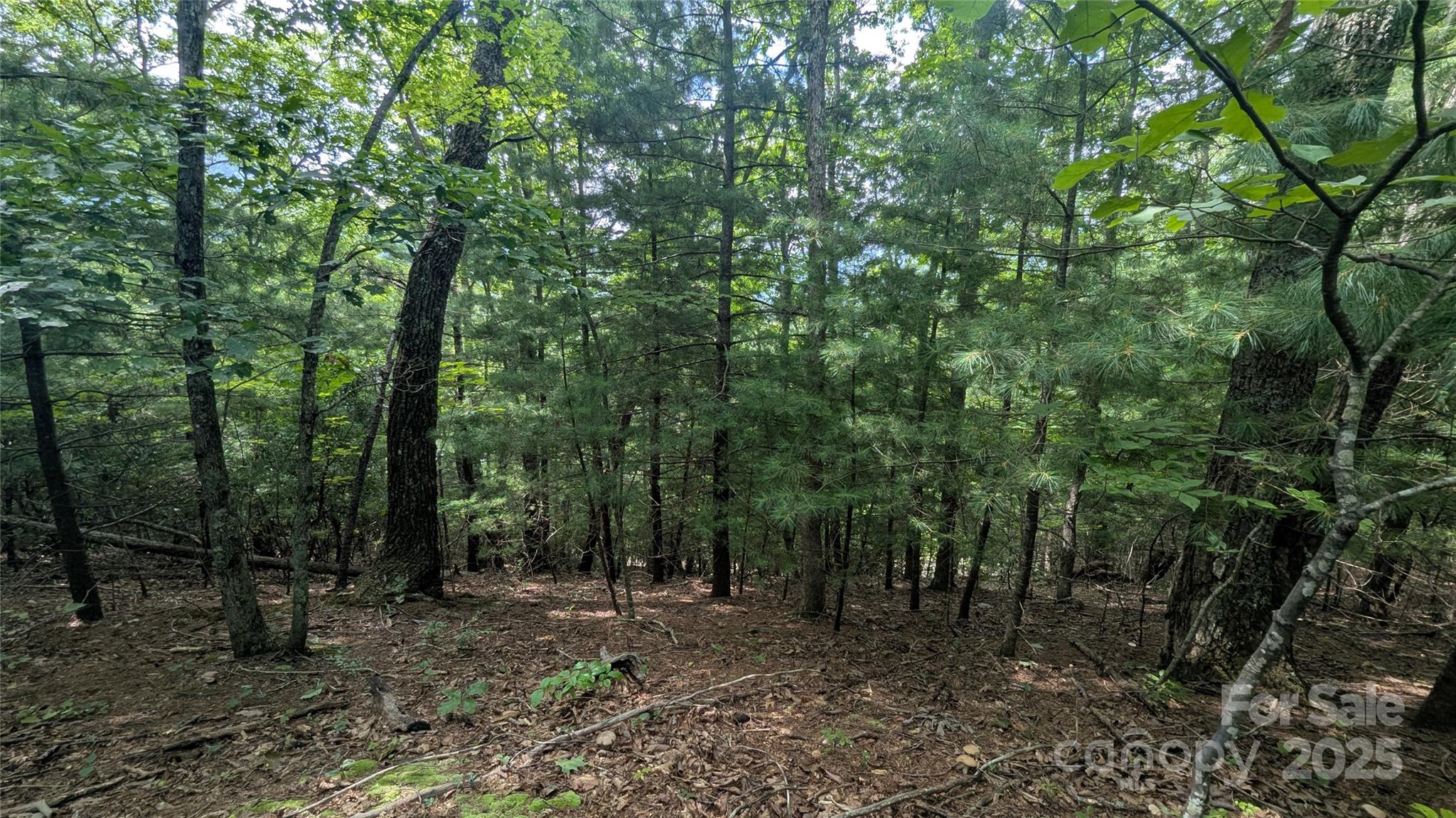 Pine Wood Heights - Land