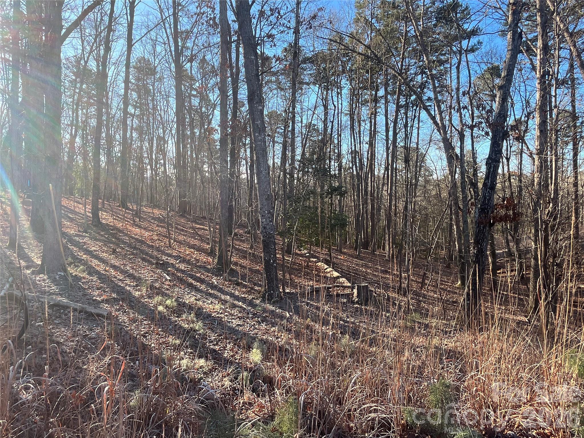 Woodrun - Land