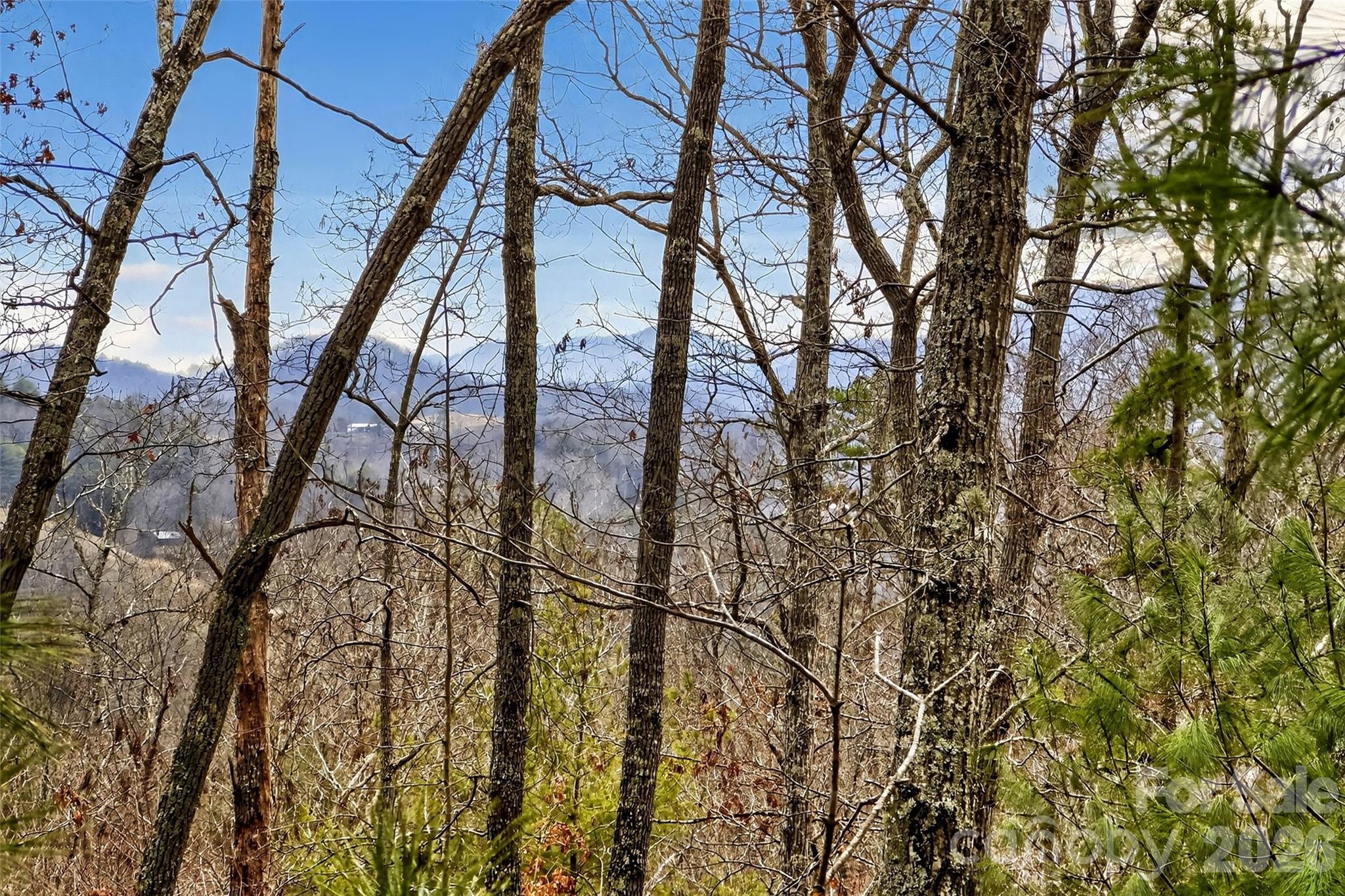 Offered below tax value this prime 2-acre lot in the gated, conservation-focused community of French Broad Crossing, near historic town of Marshall, NC. Just 40 minutes from Asheville.
Enjoy stunning long-range mountain views overlooking the French Broad River valley. The lot features a roughed-in driveway for easy access, a completed professional survey, and a current septic permit—ready for your custom mountain home.
With over a third of the community preserved in perpetuity, this desirable enclave offers privacy, natural beauty, and a serene lifestyle amid Western North Carolina's majestic landscape. Build your dream retreat in one of the region's premier private communities! Enjoy outdoor living to it's fullest on the river kayaking or hiking. If being outdoors isn't for you enjoy the lodge, fitness center, or outdoor pool.