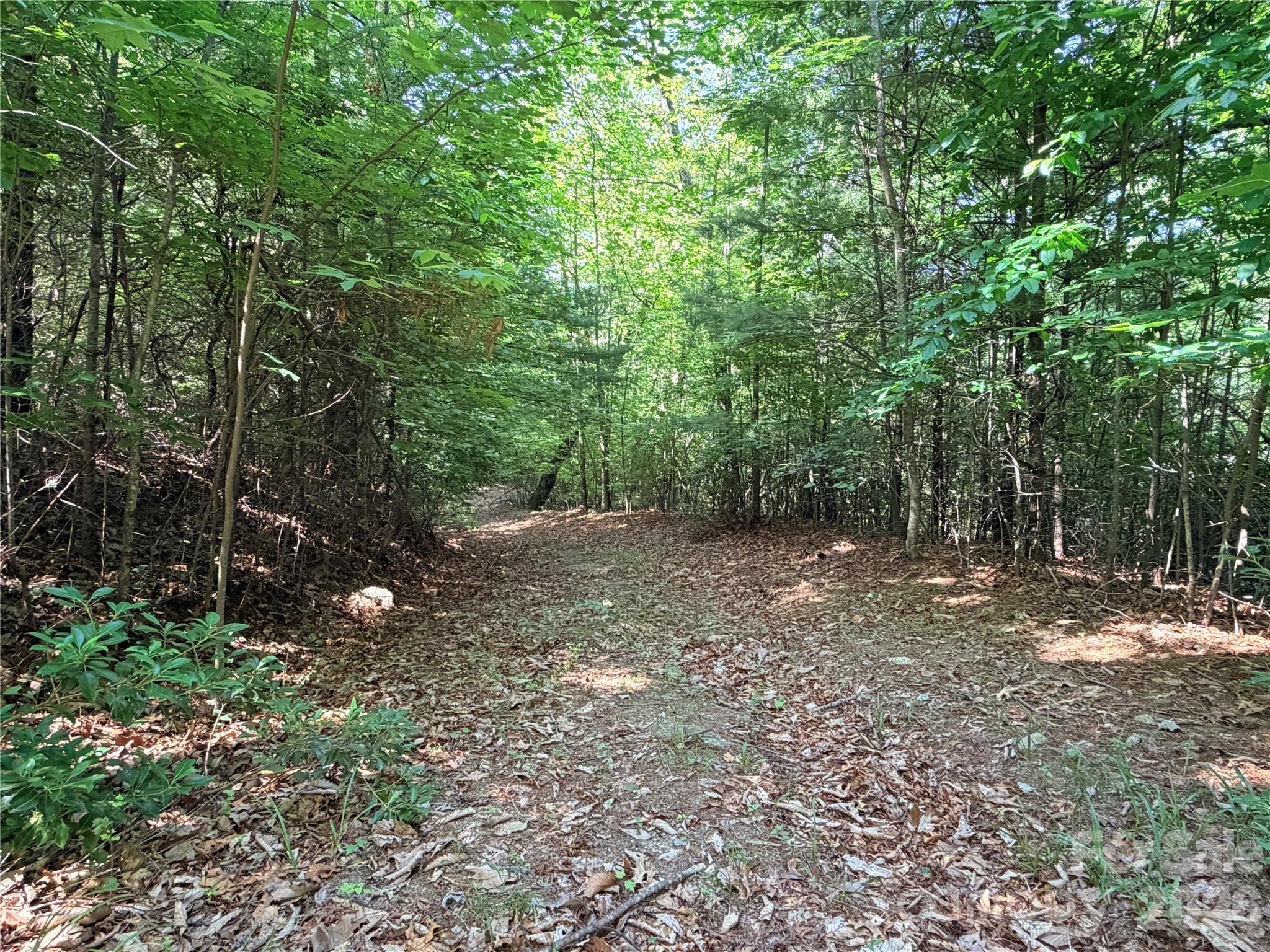 Buck Mountain - Land