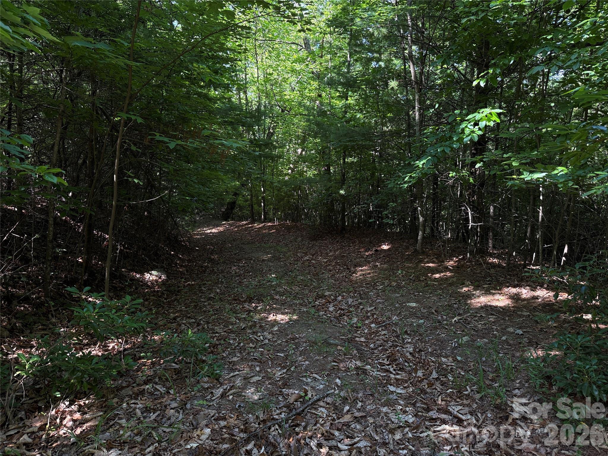 Buck Mountain - Land