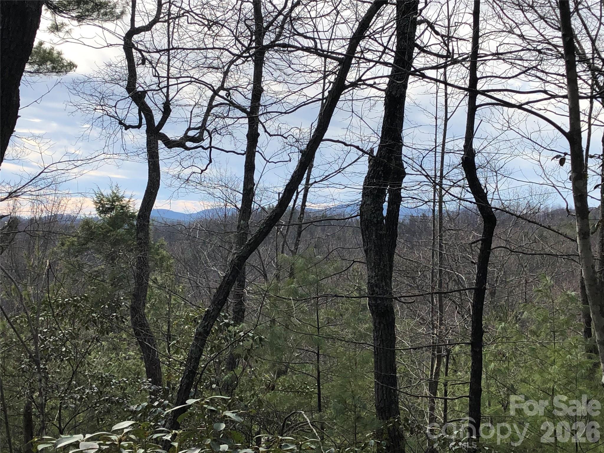 Buck Mountain - Land