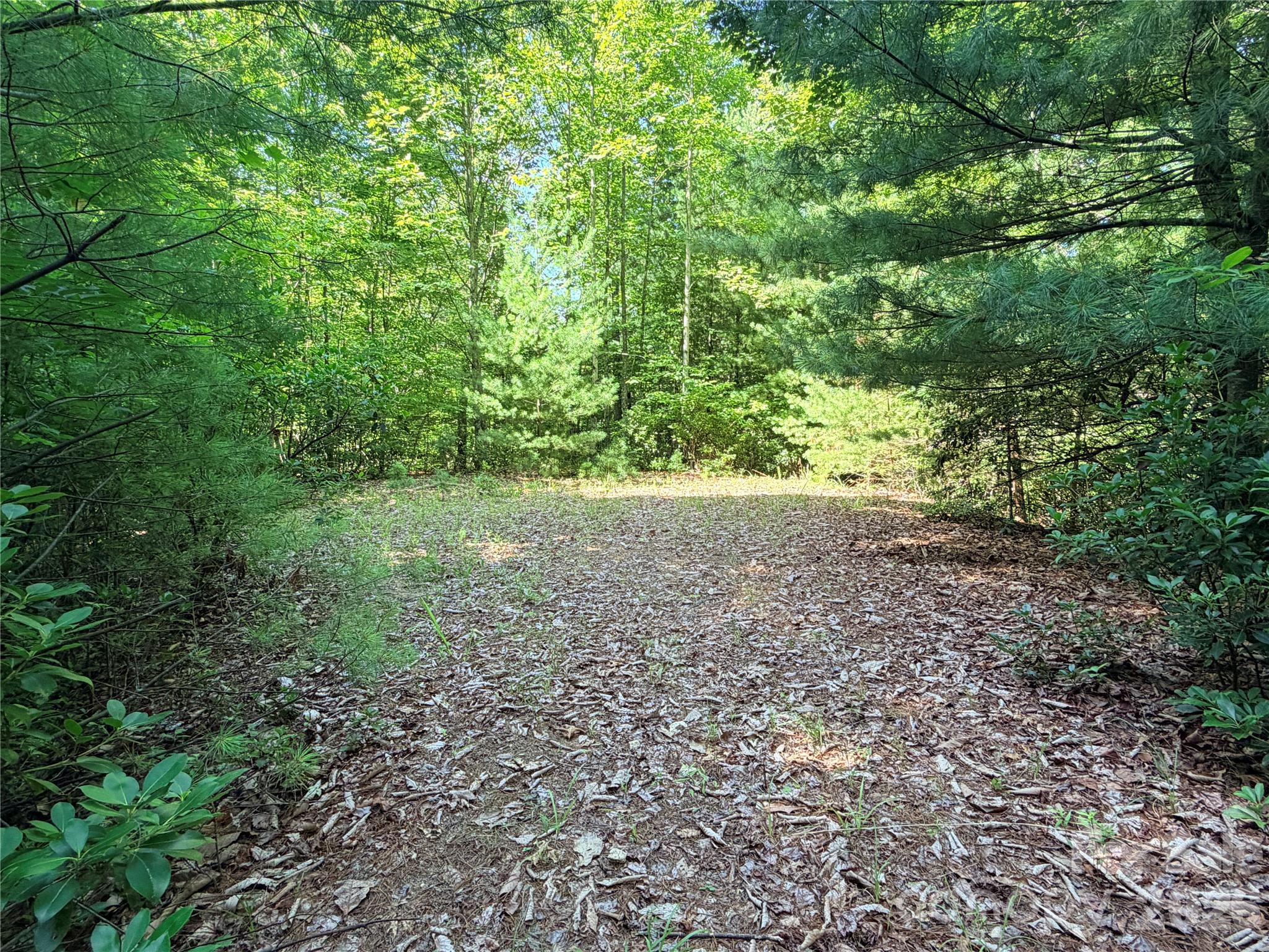 Buck Mountain - Land