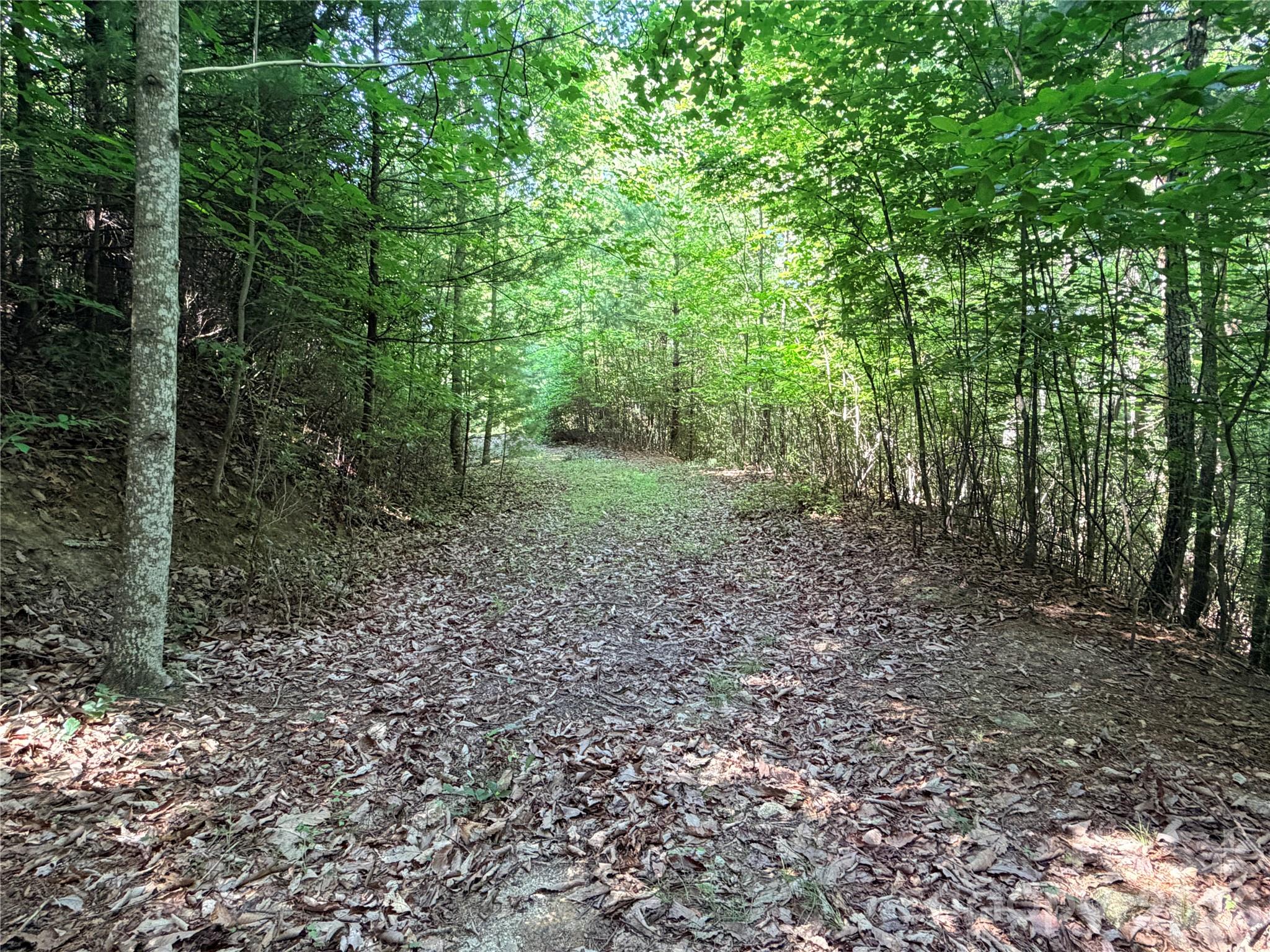 Buck Mountain - Land