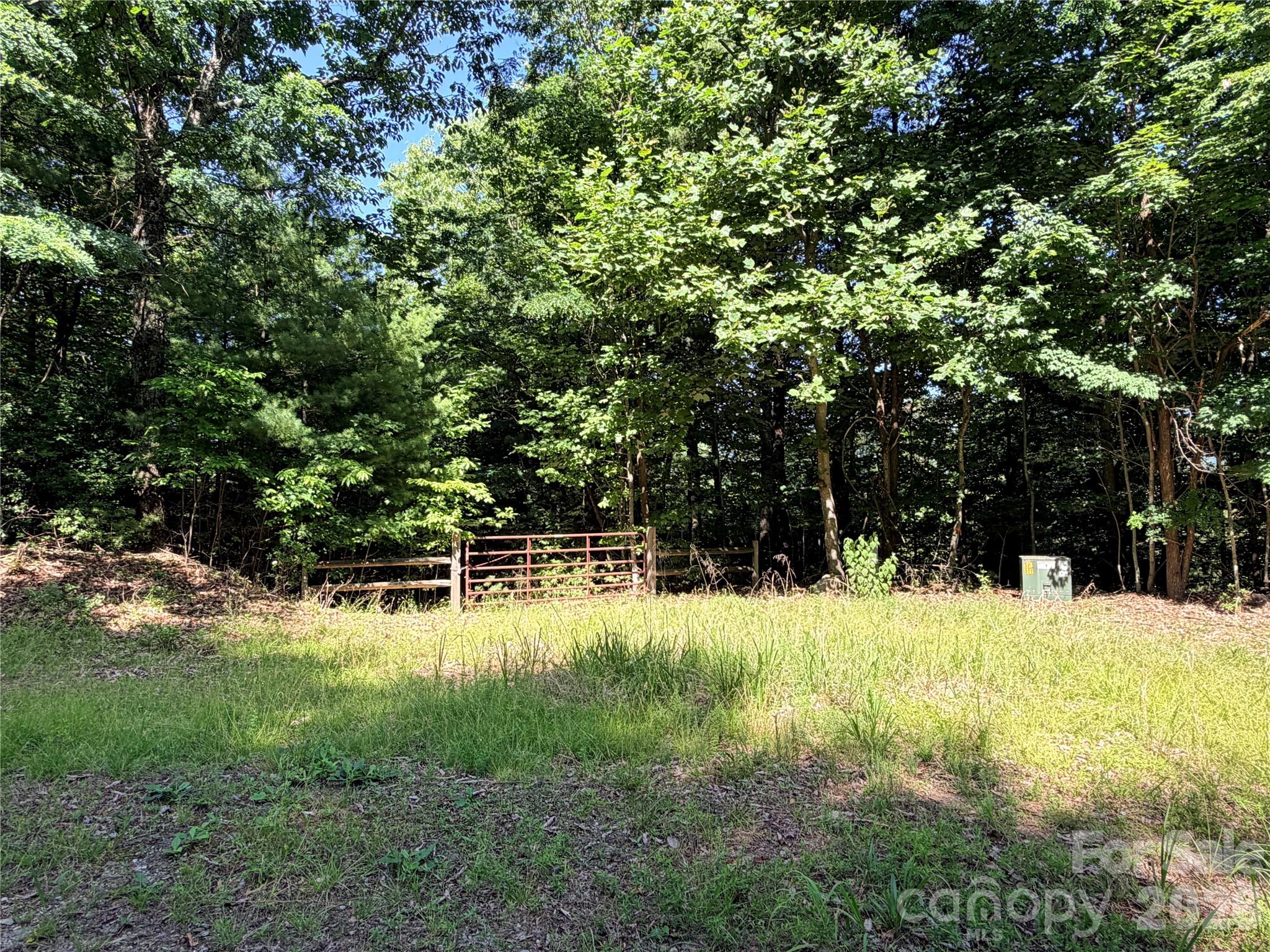 TWO BUILDING LOTS | HIKING TRAILS | MULTIPLE BUILDING SITE OPTIONS | EASY ACCESS | UNDERGROUND POWER | FIBER OPTIC | ATV/UTV FRIENDLY | COMMUNITY AMENITIES | Two great building lots in BUCK MOUNTAIN. Make your dream a reality! Build your mountain home here! Great long range view potential with some tree trimming. A level building site has been cleared on Lot 171 and a driveway is in place, complete with a gate. Easy access off Blue Rock Road. Underground electric and fiber optic is available. Lot 172B is located across the street from Lot 171, providing the option to build not one, but TWO mountain retreats. Unique opportunity to be close to family or friends. 3,400 acre Buck Mountain is the ONLY GATED ATV COMMUNITY in Wilkes County. Surround yourself with abundant wildlife and the soothing sounds of nature. Lot 171 is easy to explore with existing walking trails. Experience the feeling of being tucked in the woods with all the privacy and seclusion you’re seeking in the mountains! AMENITIES: ATV & Hiking Trails, Parks, Waterfalls, Pavilions, Helipad, Outdoor Activity Center w/stage for live music, community gatherings & more! Convenient location for a WEEKEND GETAWAY with these travel times to the Buck Mtn Gate: Charlotte 1hr, Winston 1hr 40min, Raleigh 2hrs 45min. CENTRALLY LOCATED - 35 min to Boone, West Jefferson and Wilkesboro. Close to BLUE RIDGE PKWY, ASU, shopping, dining, golf, wineries, breweries, mountain biking and skiing. 1,400 SF min. NO TINY HOMES. NO MOBILE HOMES. NO SELLER FINANCING. Seller is a licensed NC Broker.