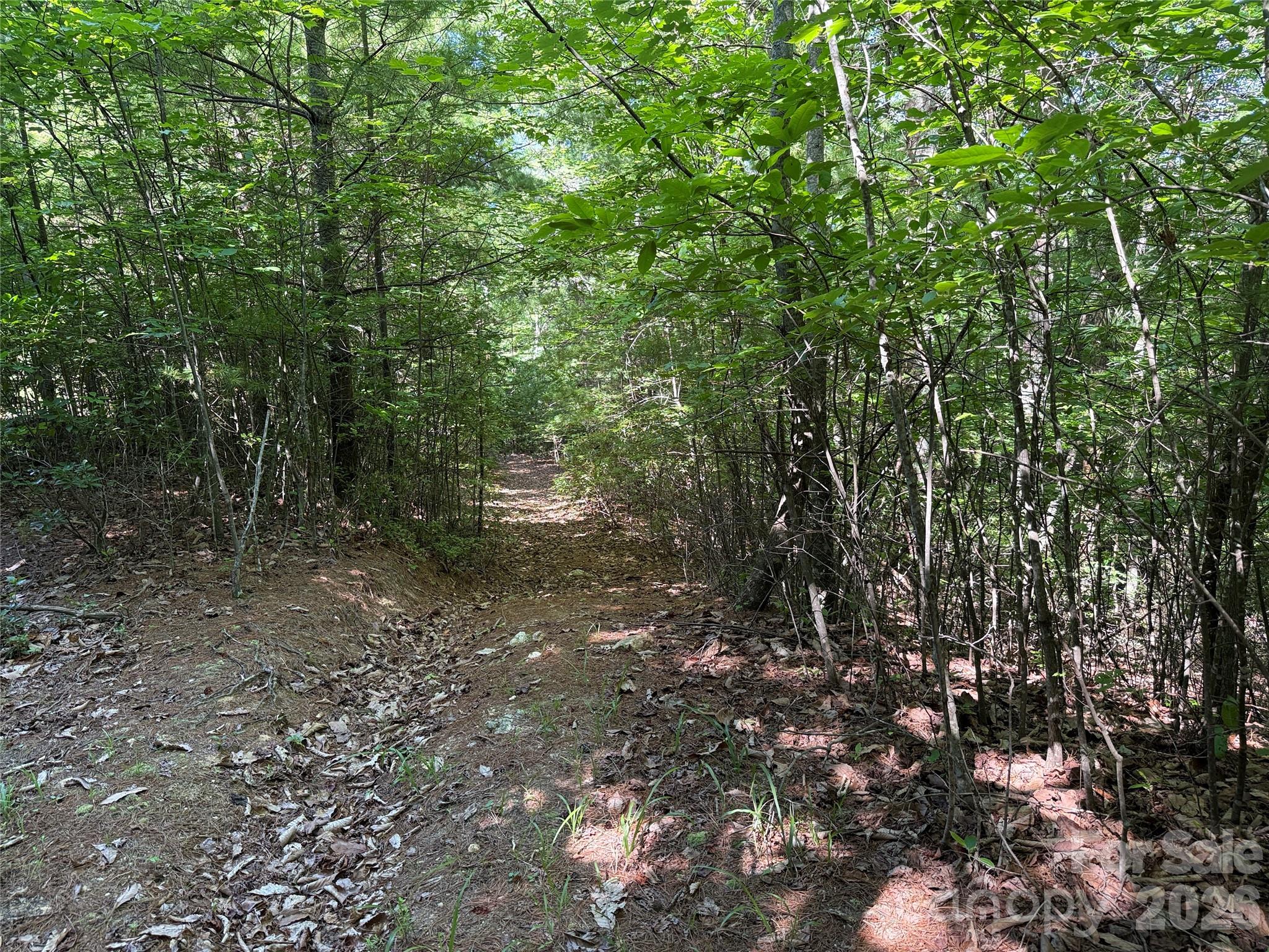 Buck Mountain - Land