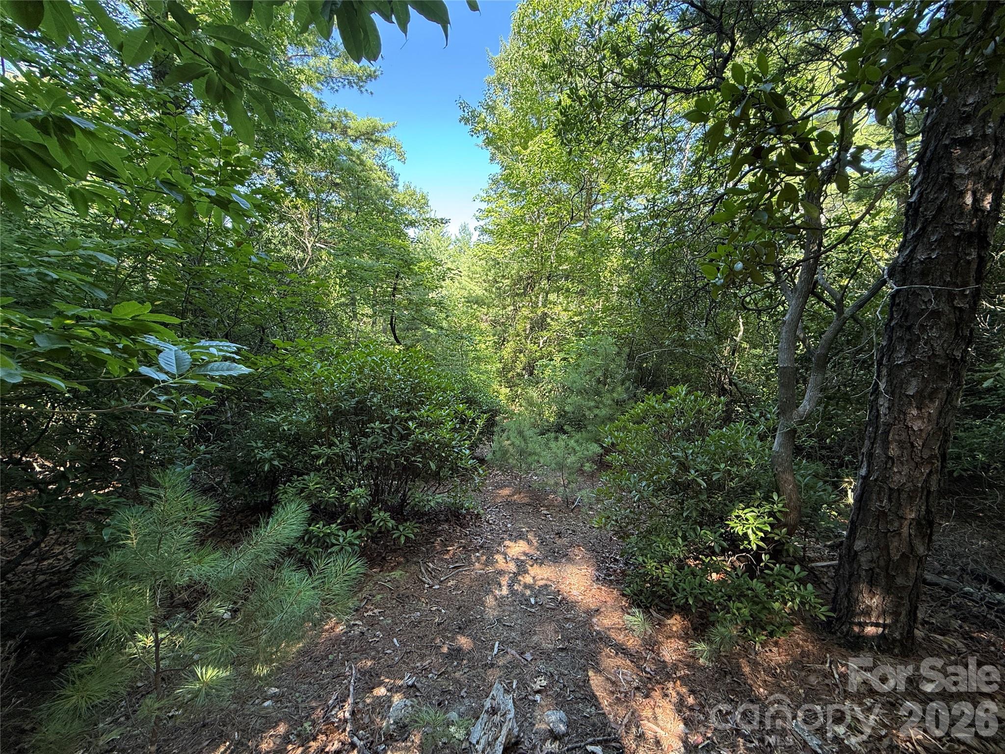 Buck Mountain - Land